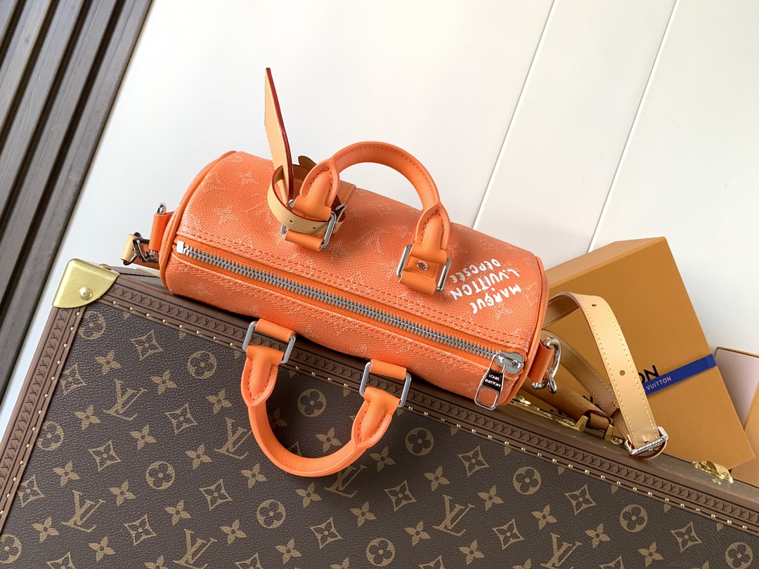 Louis Vuitton Basic Bag Cow Leather M-l-s