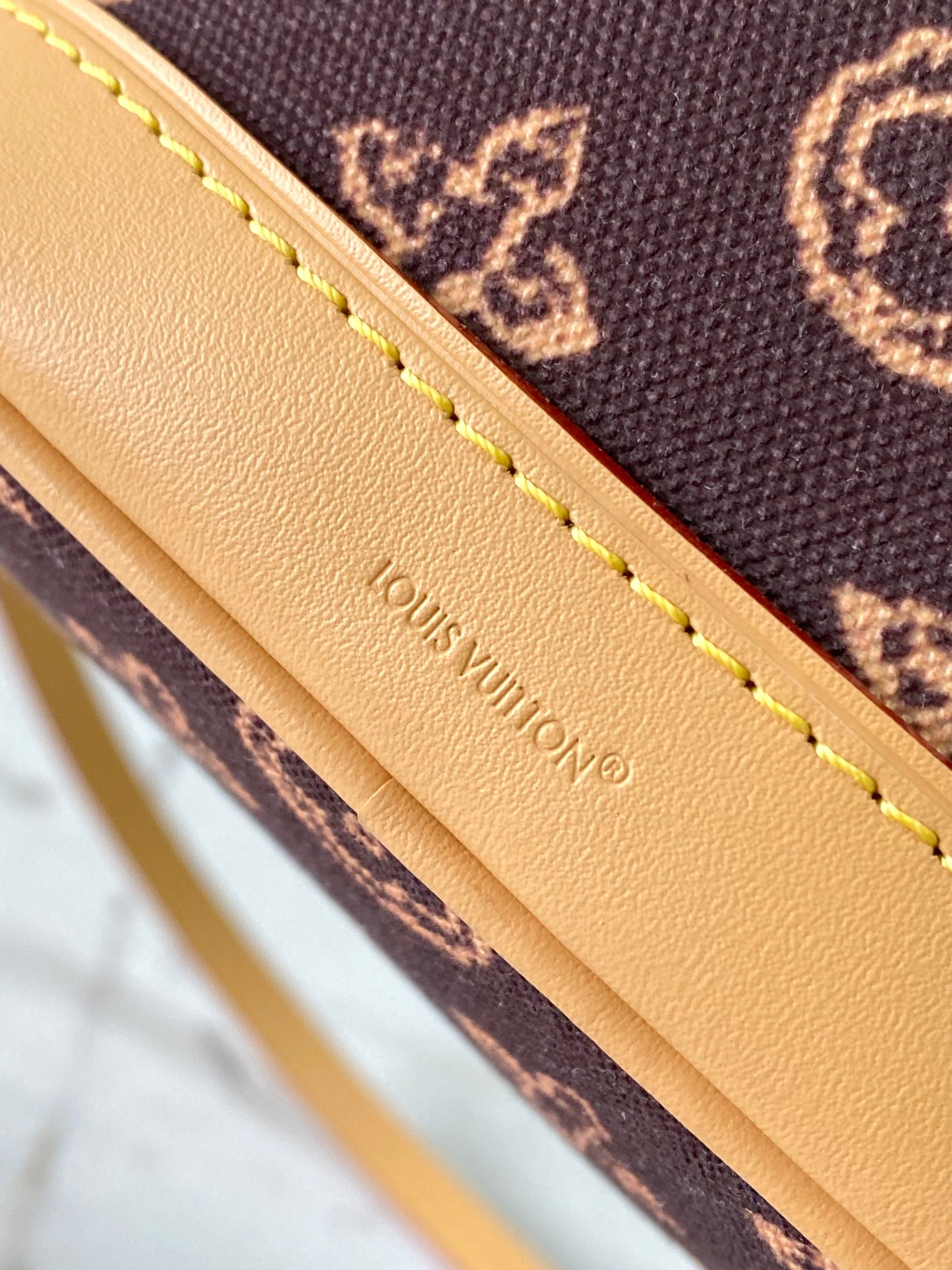 Louis Vuitton Basic Bag Cow Leather M