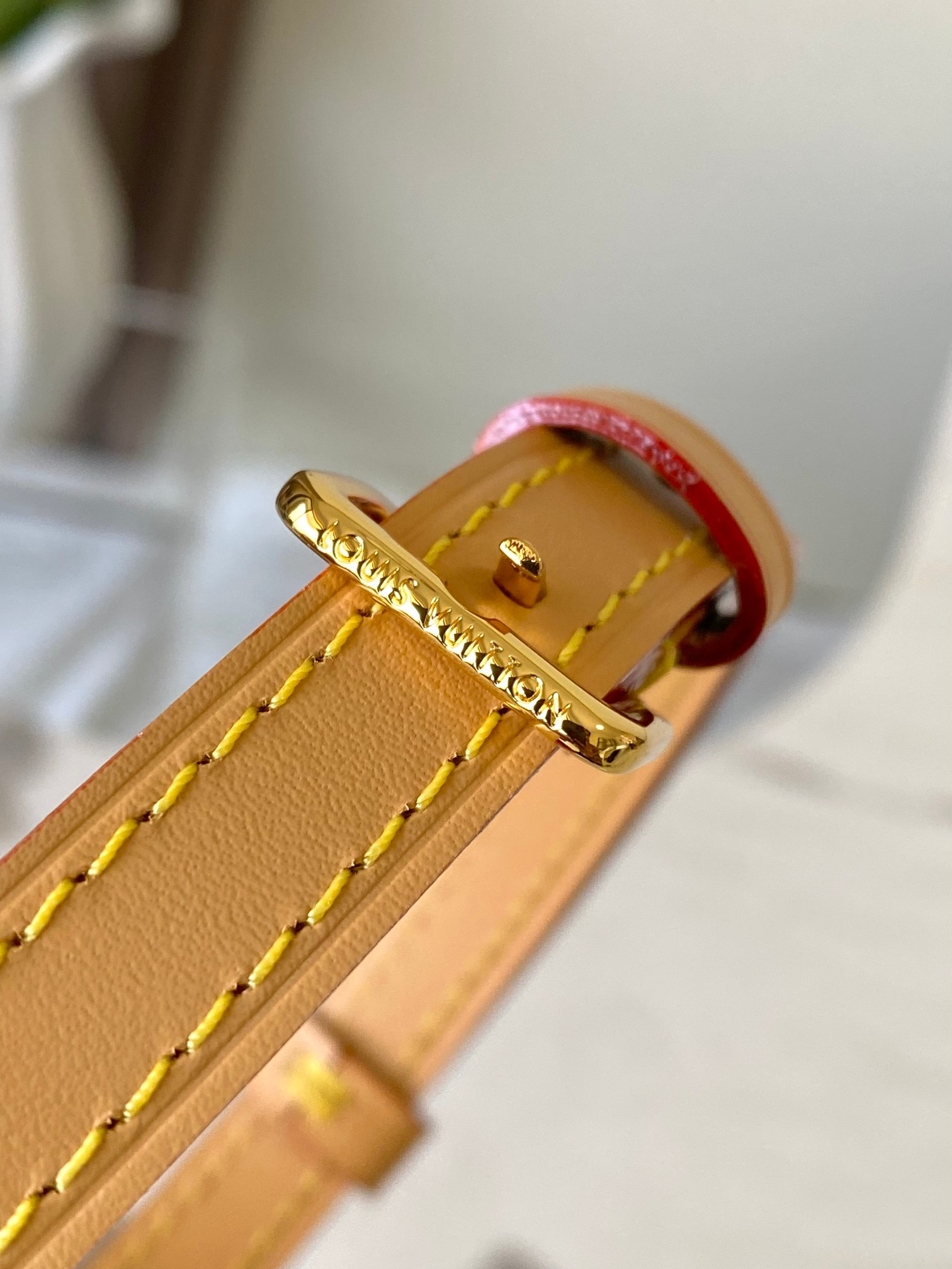 Louis Vuitton Basic Bag Canvas Gold M-s