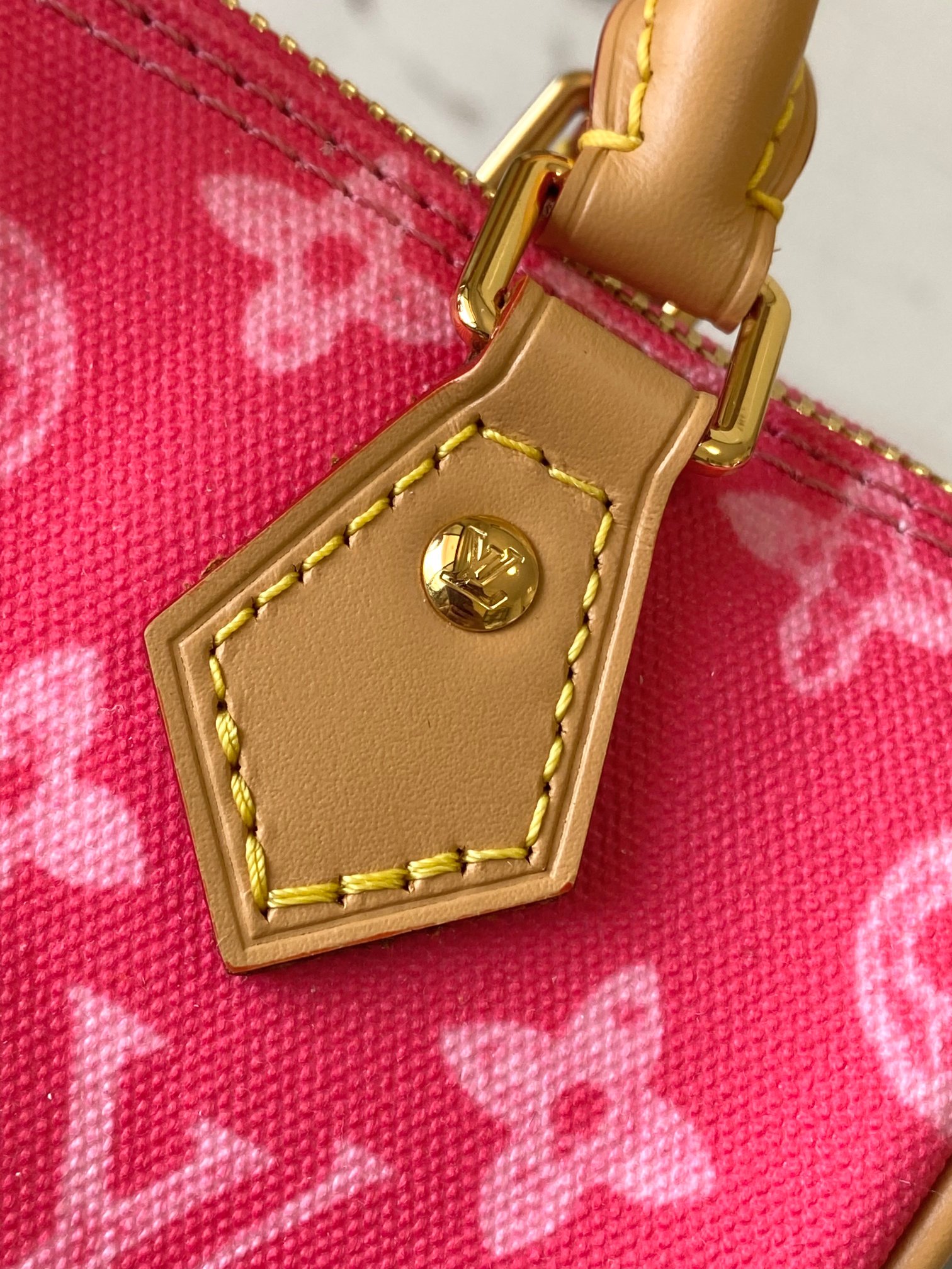 Louis Vuitton Basic Bag Canvas Gold M-s