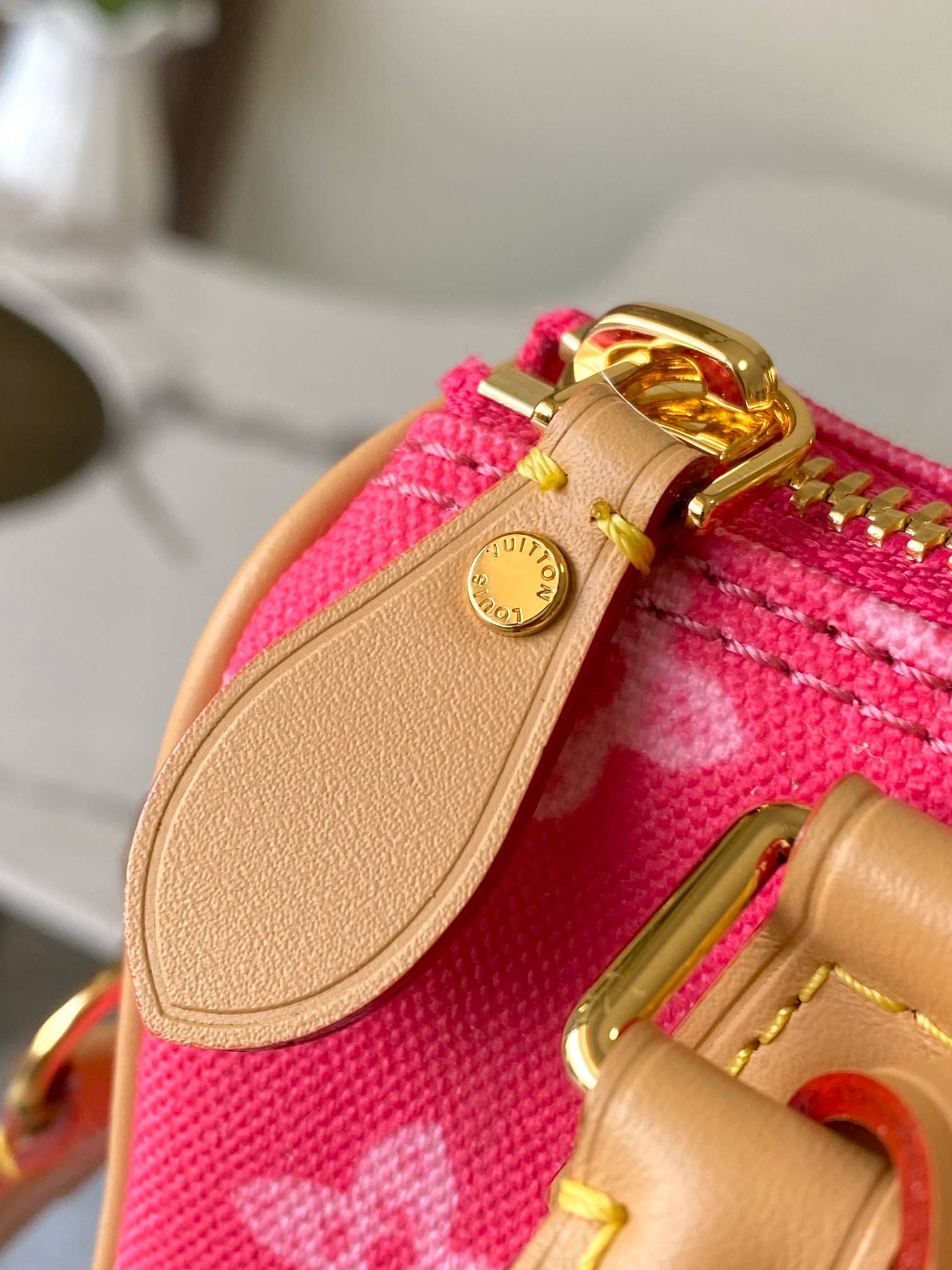 Louis Vuitton Basic Bag Canvas Gold M-s