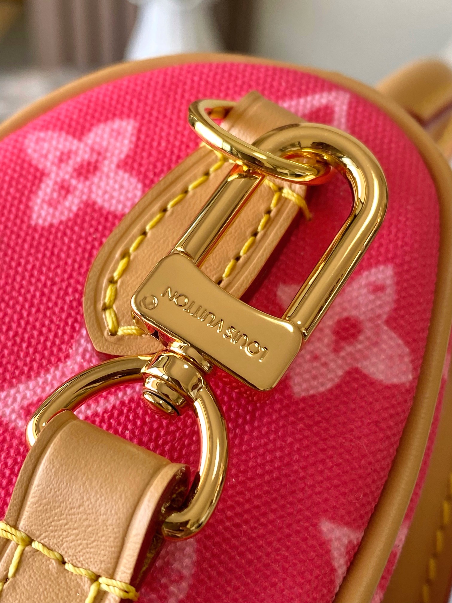 Louis Vuitton Basic Bag Canvas Gold M-s