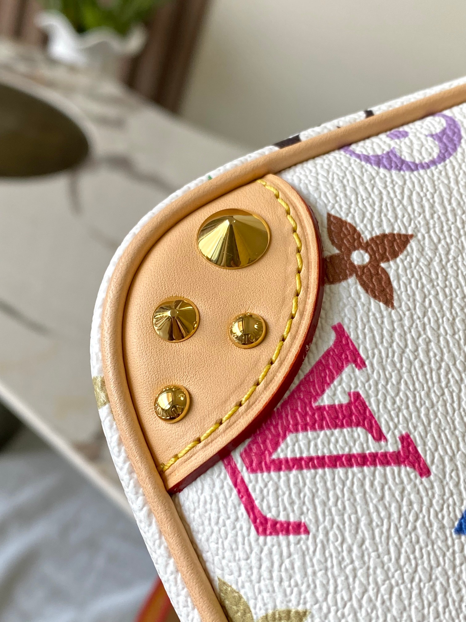 Louis Vuitton Basic Bag Canvas M