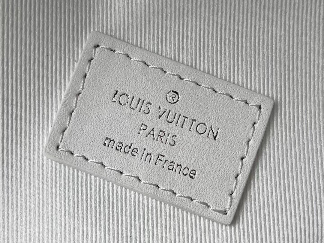 Louis Vuitton Backpack Cow Leather M-l-s