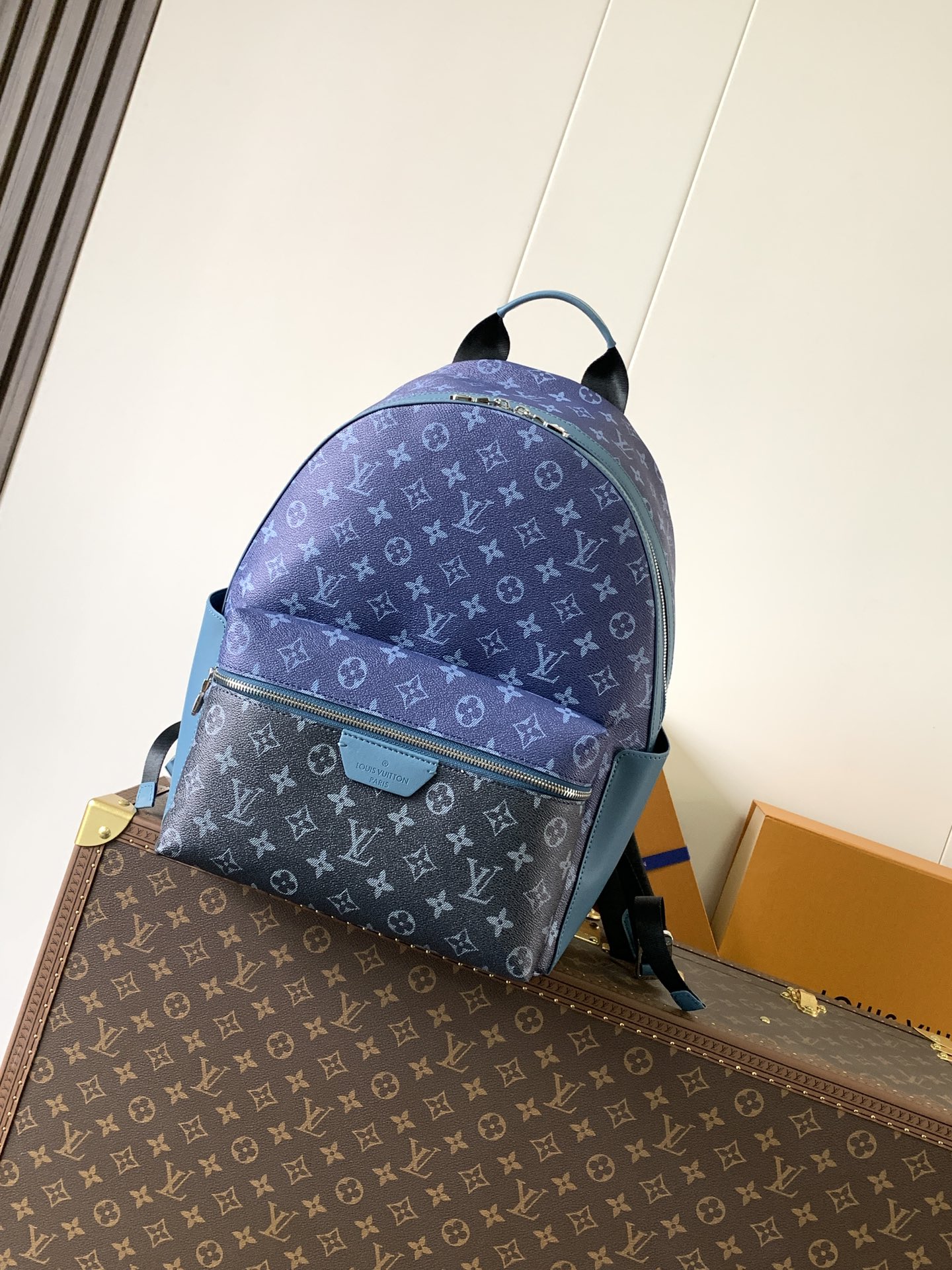 Louis Vuitton Backpack Cow Leather M-l-s