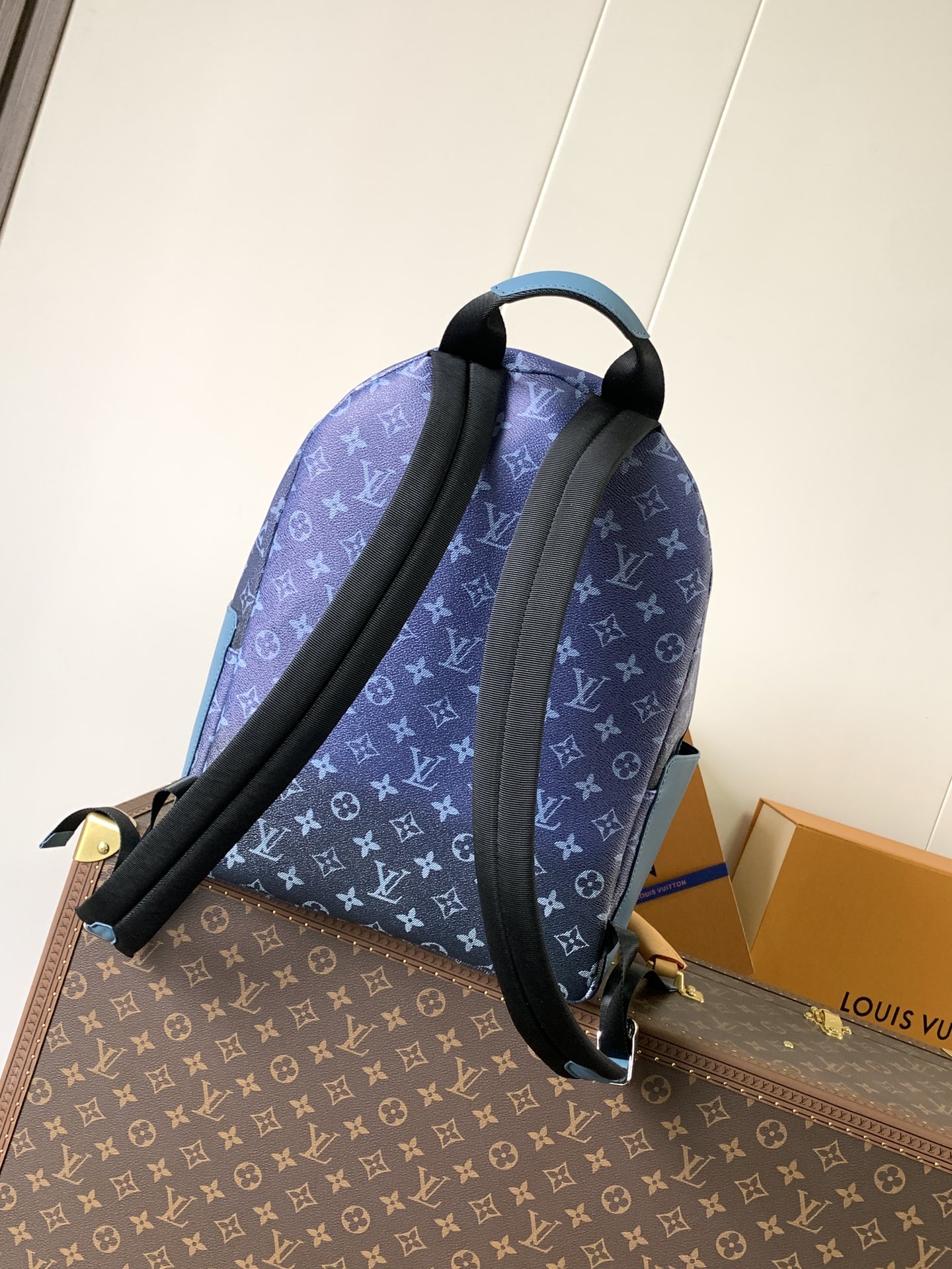 Louis Vuitton Backpack Cow Leather M-l-s