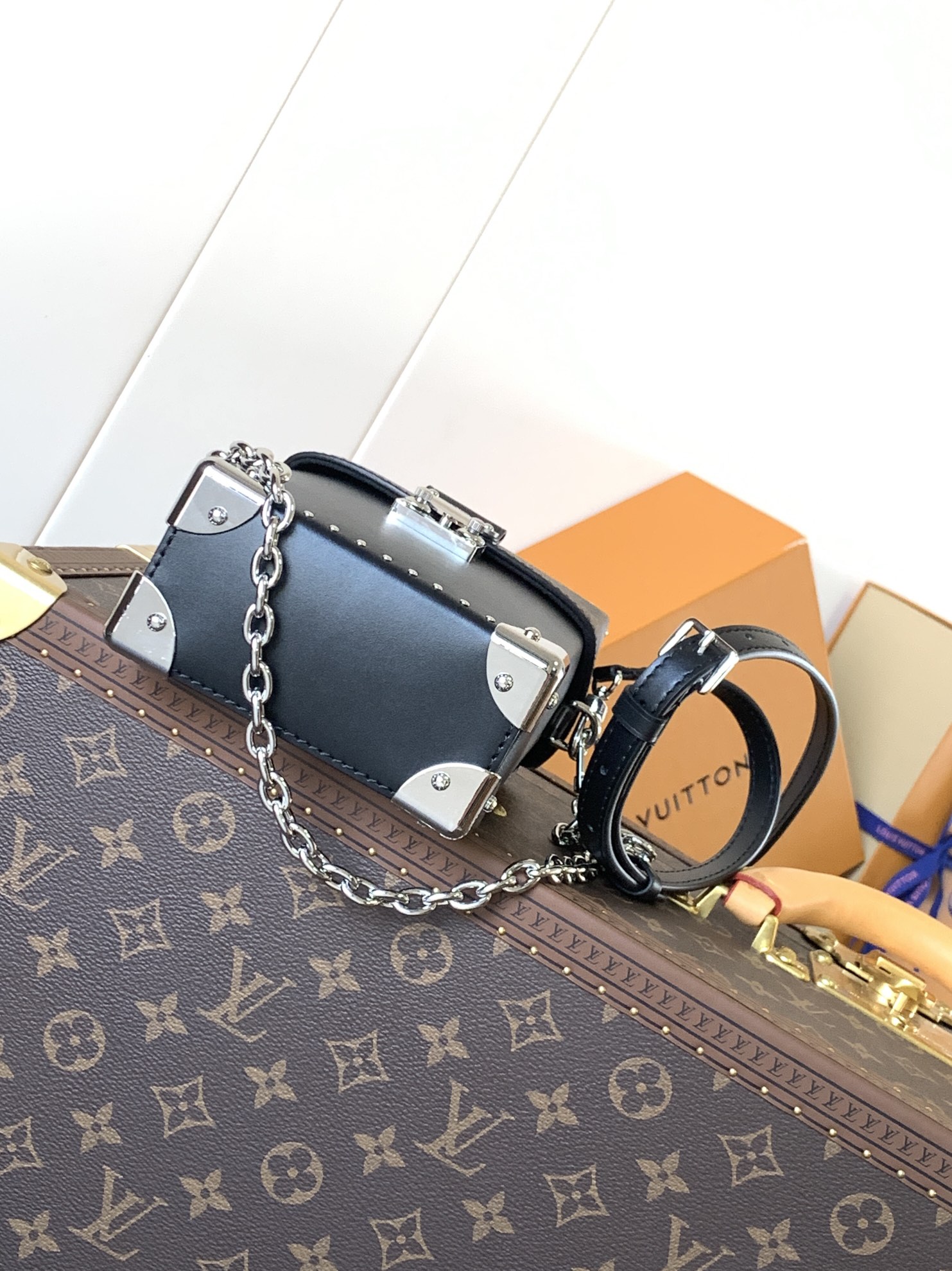 Louis Vuitton Basic Bag Cow Leather M-l-s