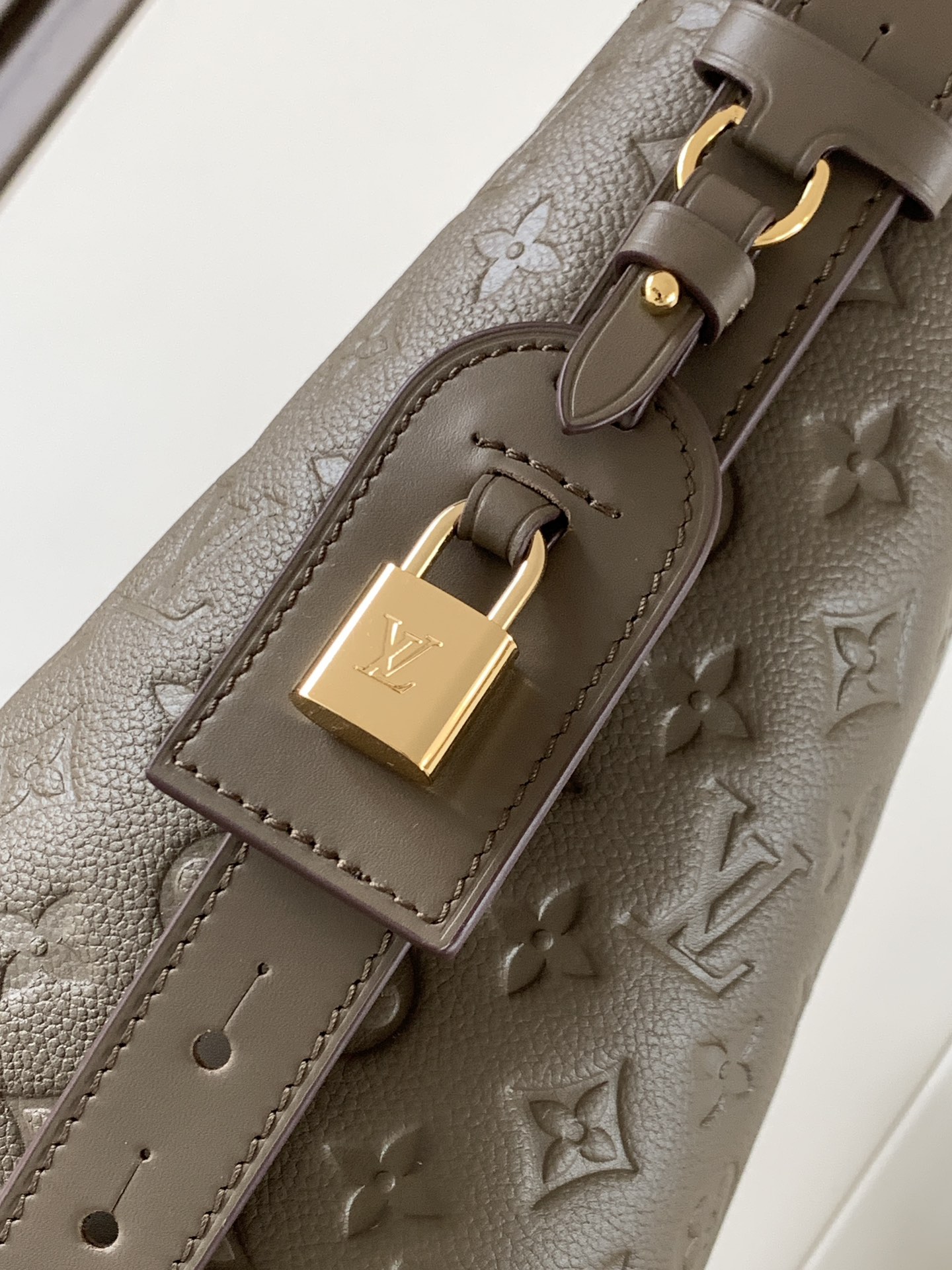 Louis Vuitton Basic Bag Cow Leather Foldable M-l