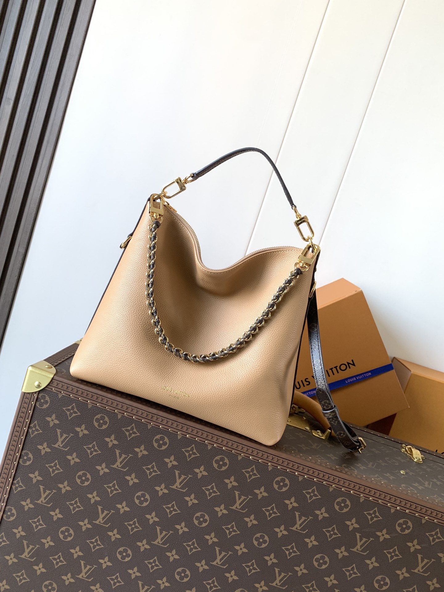 Louis Vuitton Male Basic Bag Cow Leather M-l-s