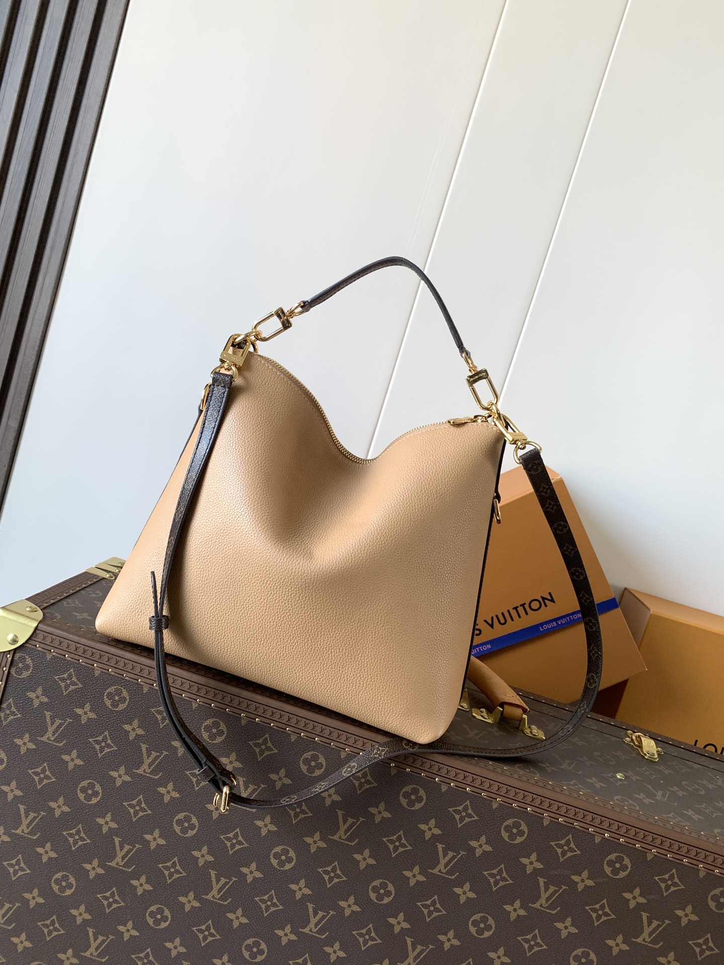 Louis Vuitton Male Basic Bag Cow Leather M-l-s