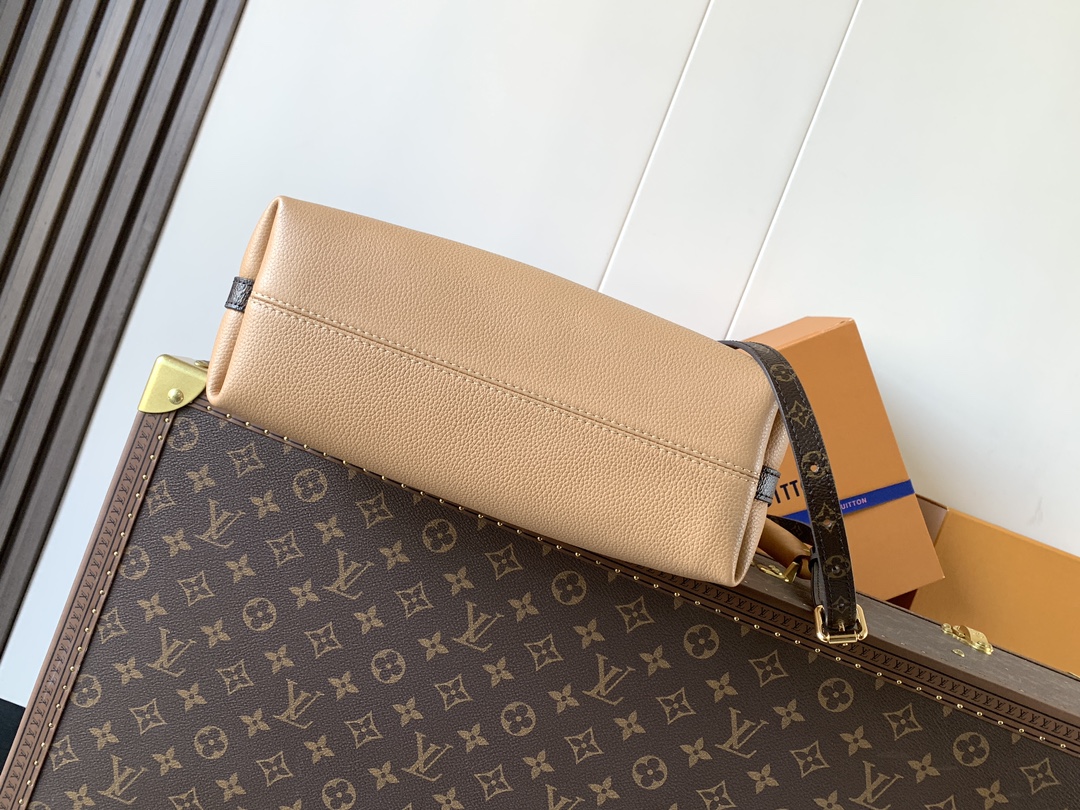 Louis Vuitton Male Basic Bag Cow Leather M-l-s