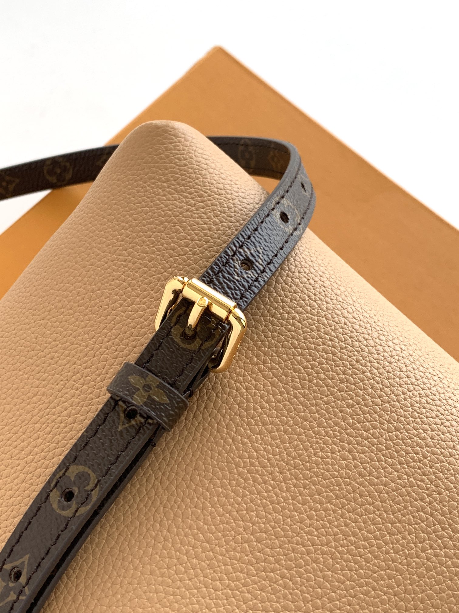 Louis Vuitton Male Basic Bag Cow Leather M-l-s