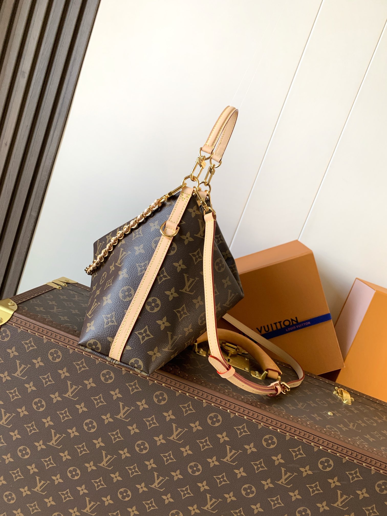 Louis Vuitton Male Basic Bag Cow Leather M-l-s