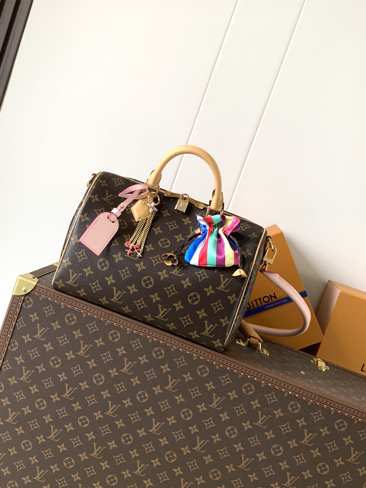 Louis Vuitton Basic Bag Canvas M-l-s