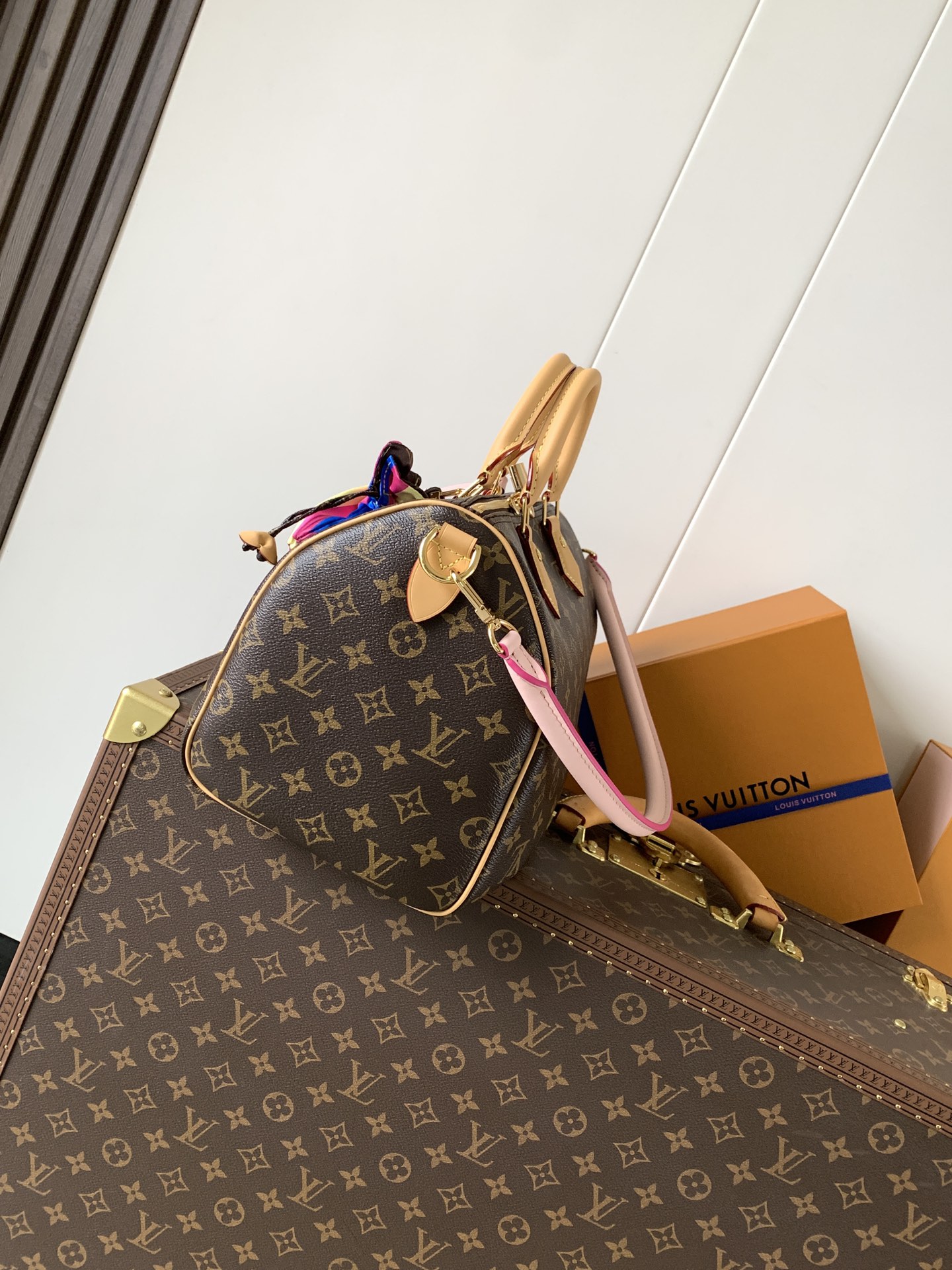 Louis Vuitton Basic Bag Canvas M-l-s