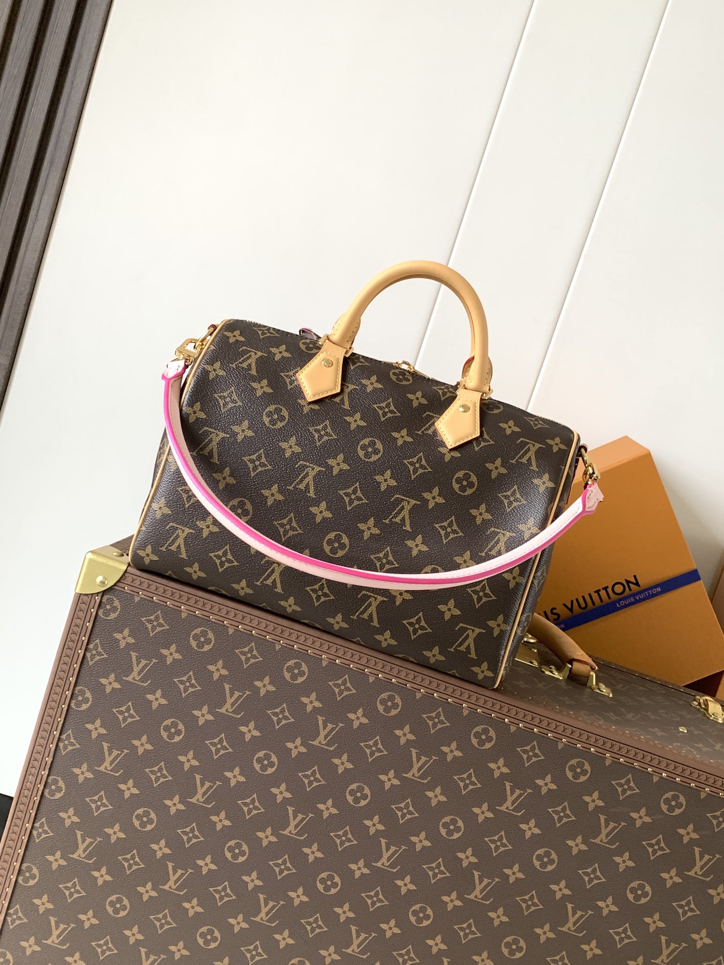 Louis Vuitton Basic Bag Canvas M-l-s