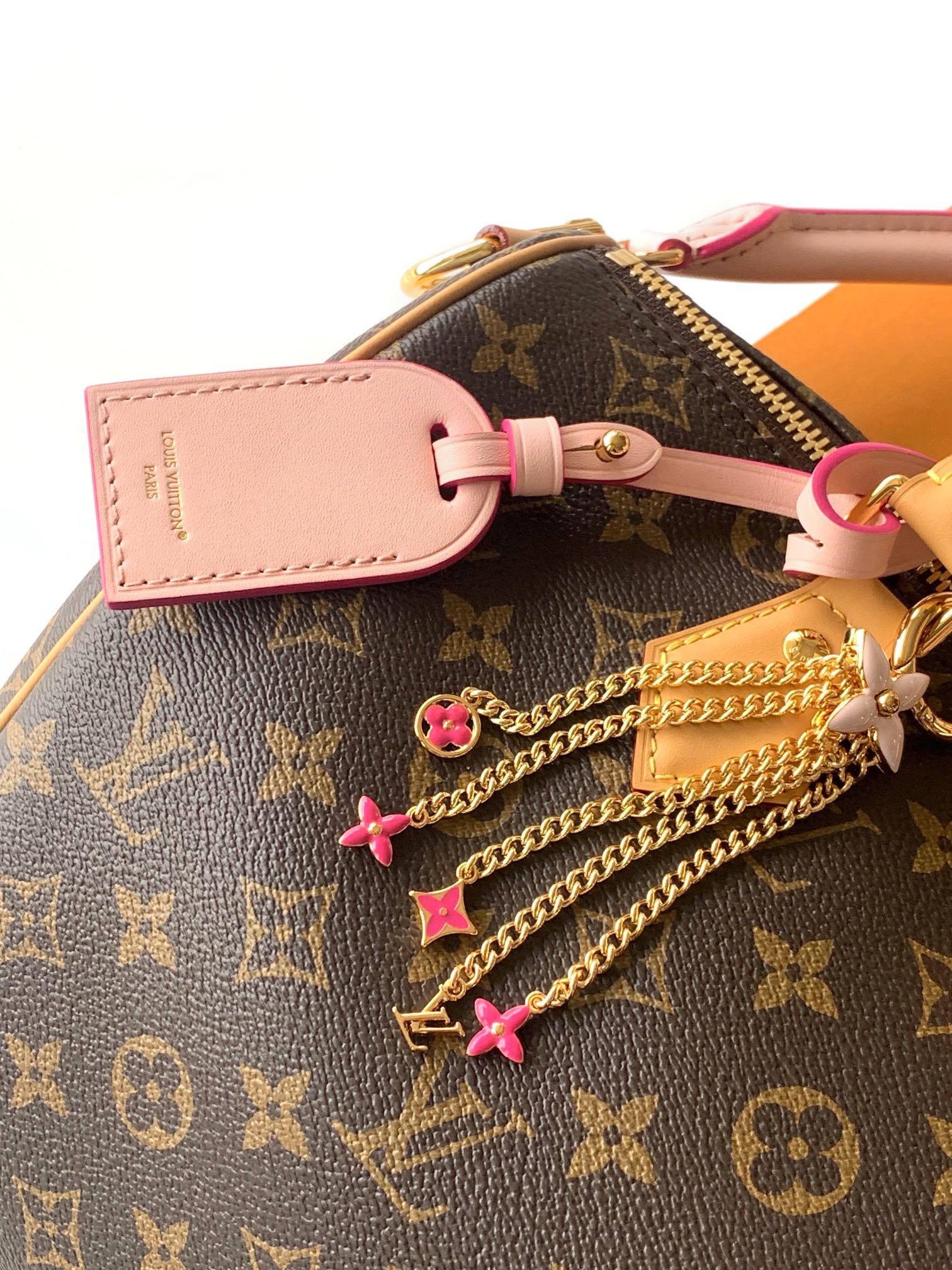 Louis Vuitton Basic Bag Canvas M-l-s