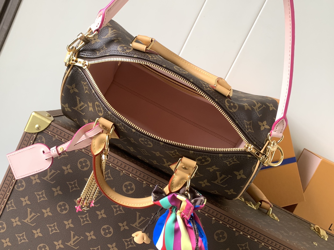 Louis Vuitton Basic Bag Canvas M-l-s