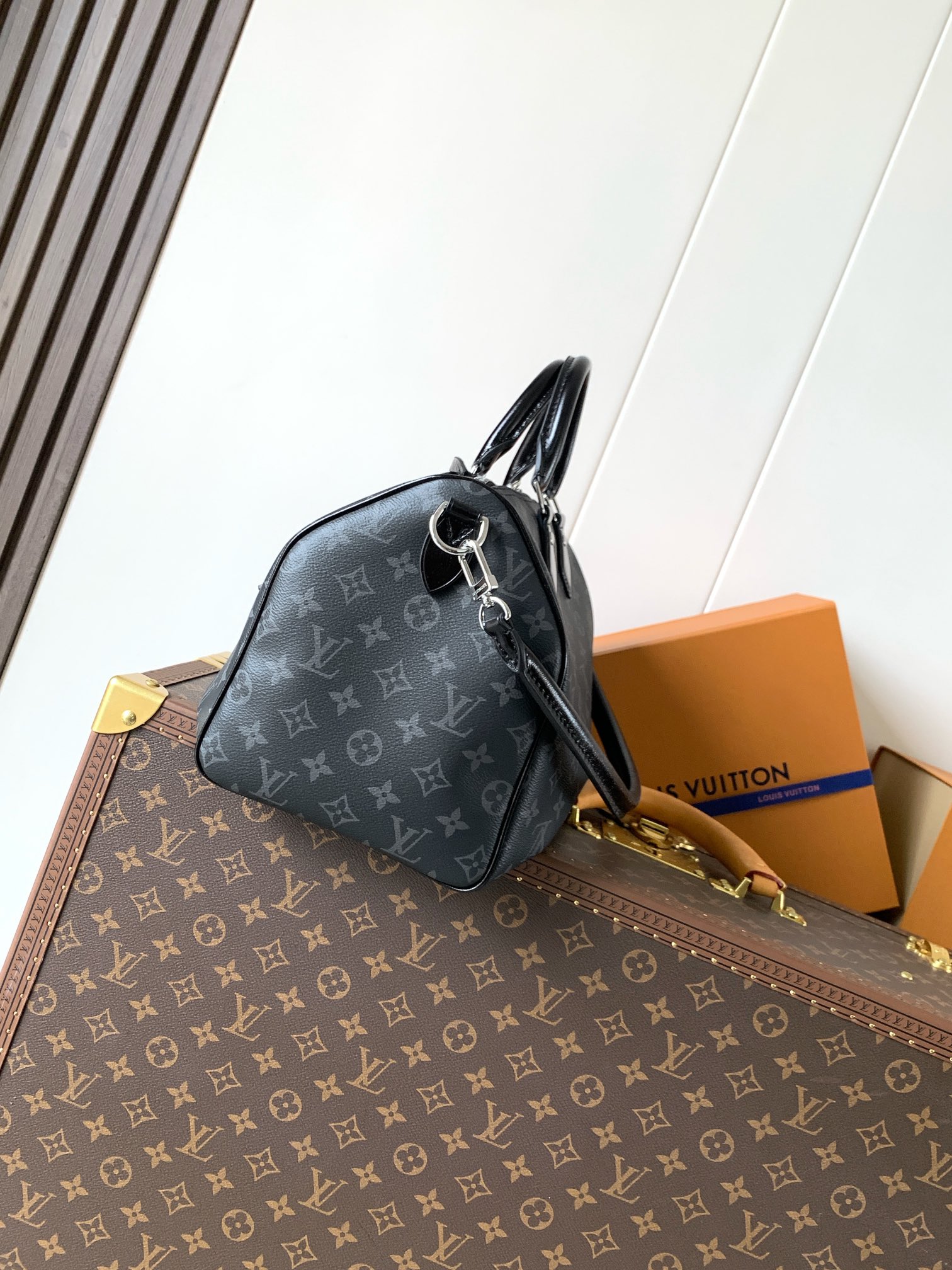 Louis Vuitton Basic Bag Cow Leather M-l-s