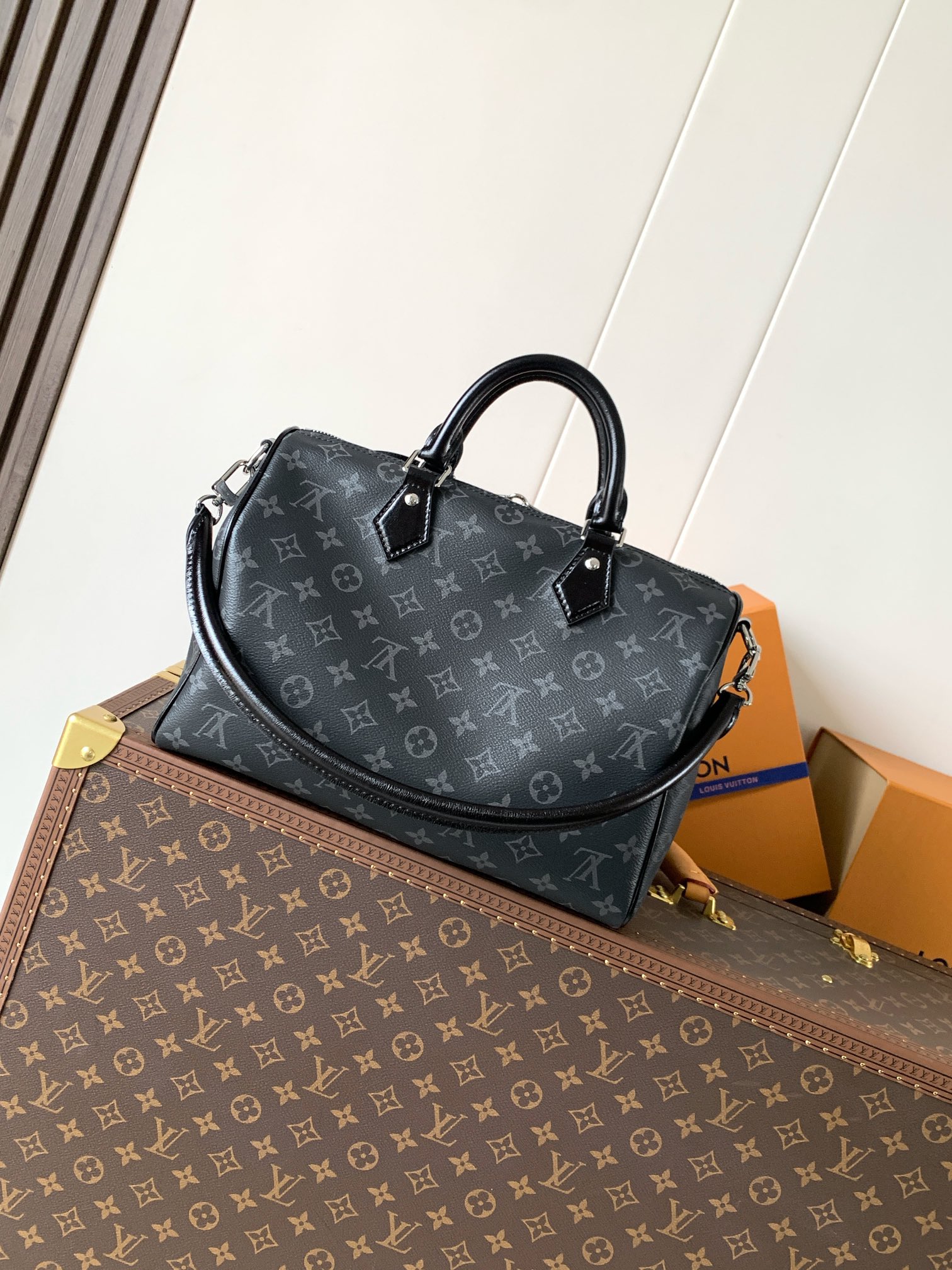 Louis Vuitton Basic Bag Cow Leather M-l-s