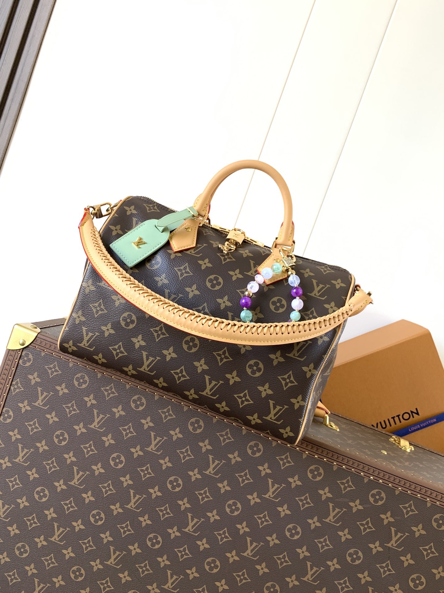 Louis Vuitton Basic Bag Cow Leather M-l-s