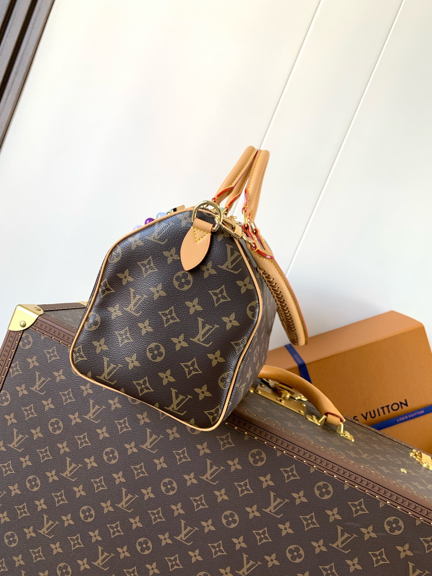 Louis Vuitton Basic Bag Cow Leather M-l-s