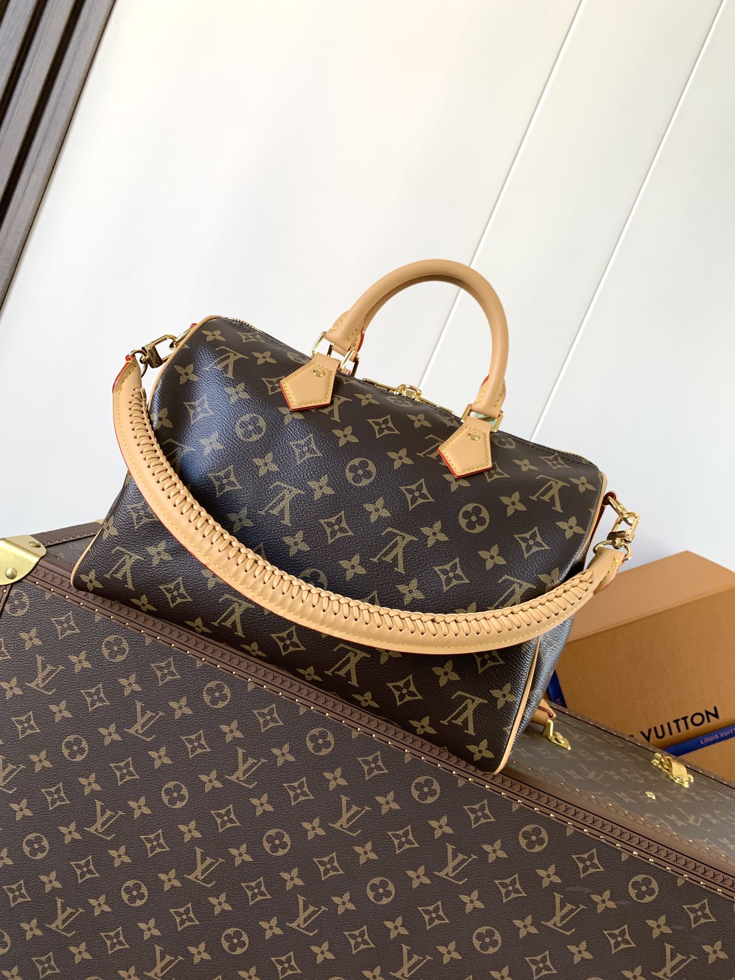 Louis Vuitton Basic Bag Cow Leather M-l-s