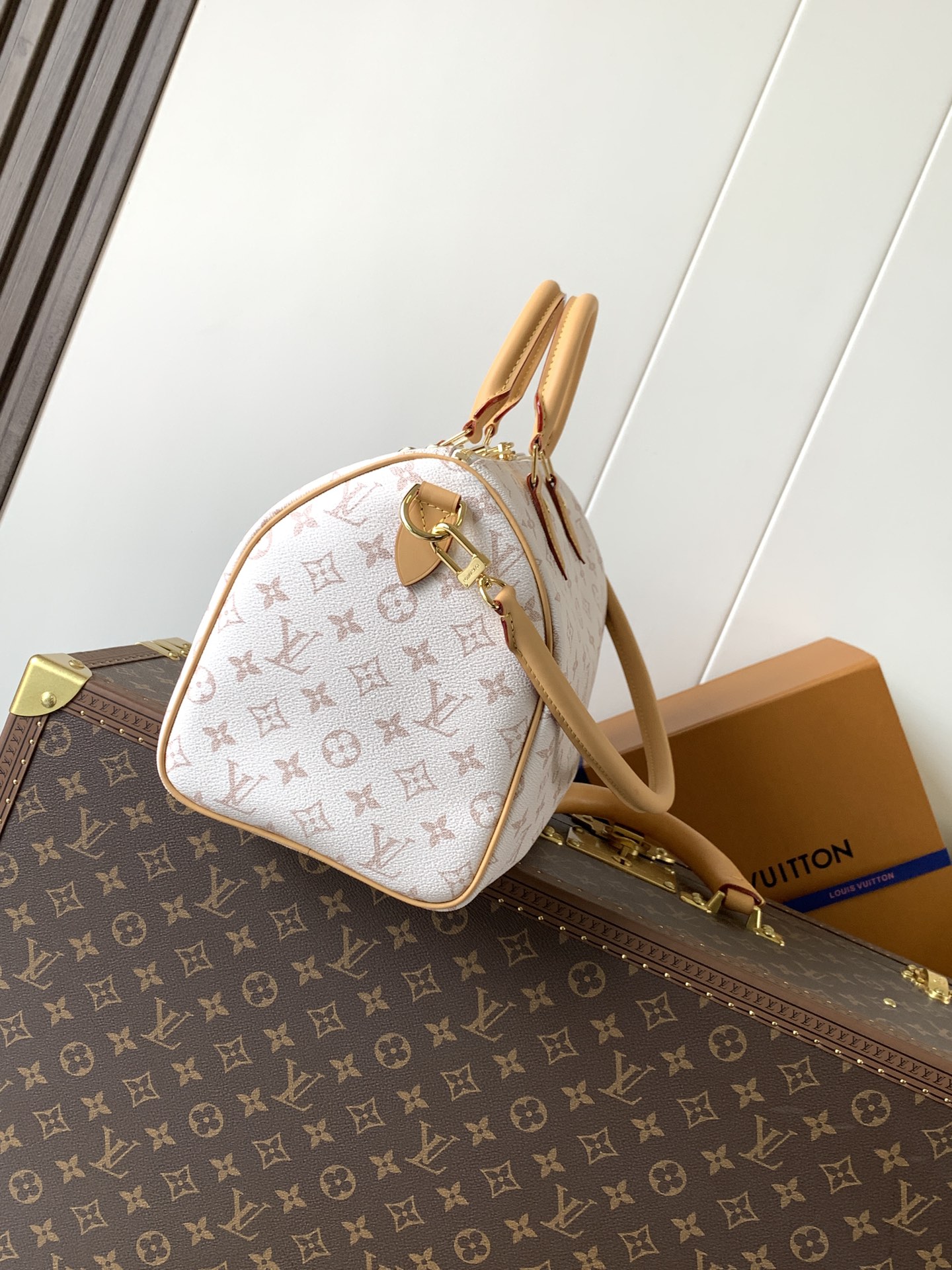 Louis Vuitton Basic Bag Cow Leather M-l-s