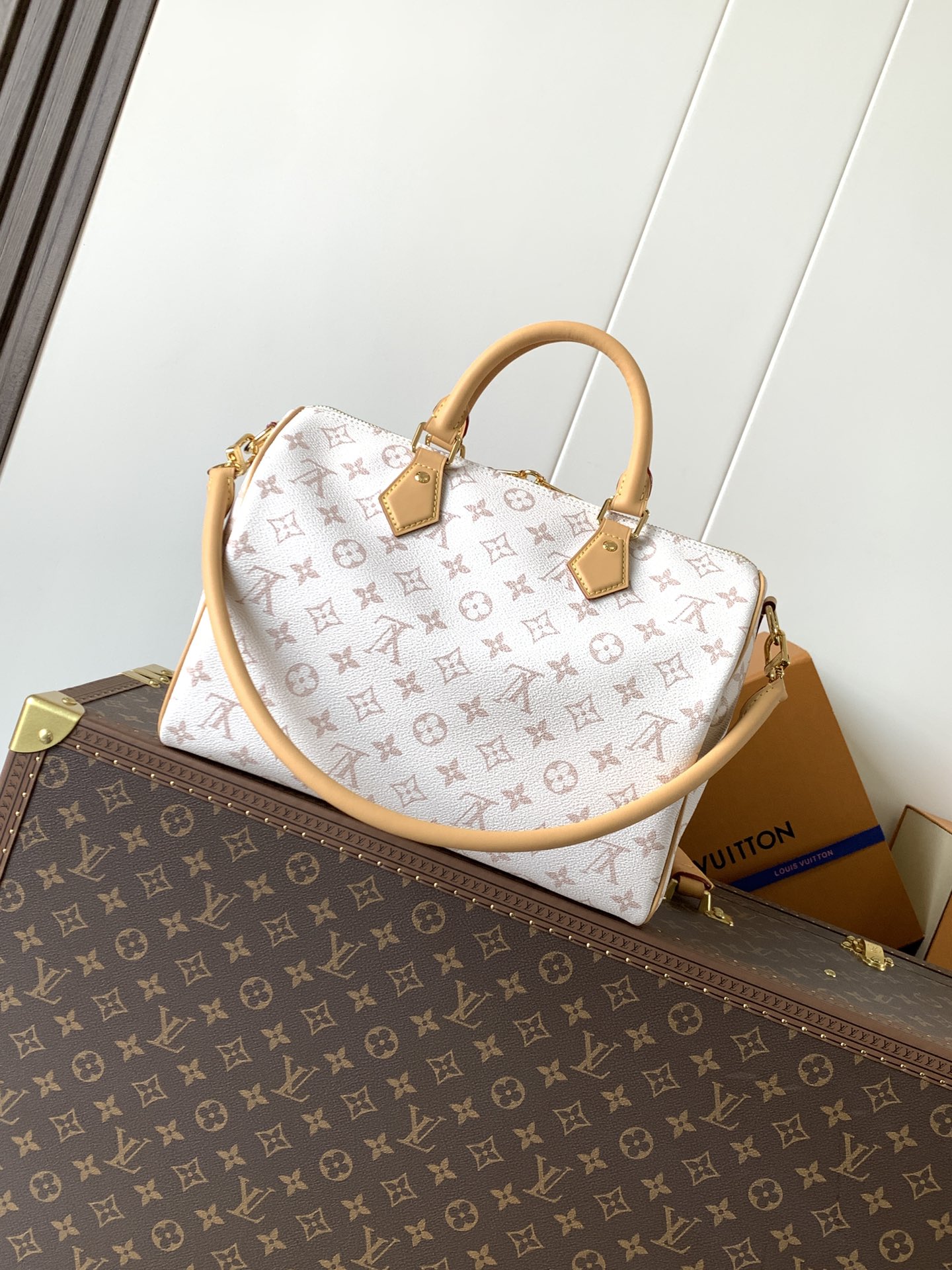 Louis Vuitton Basic Bag Cow Leather M-l-s