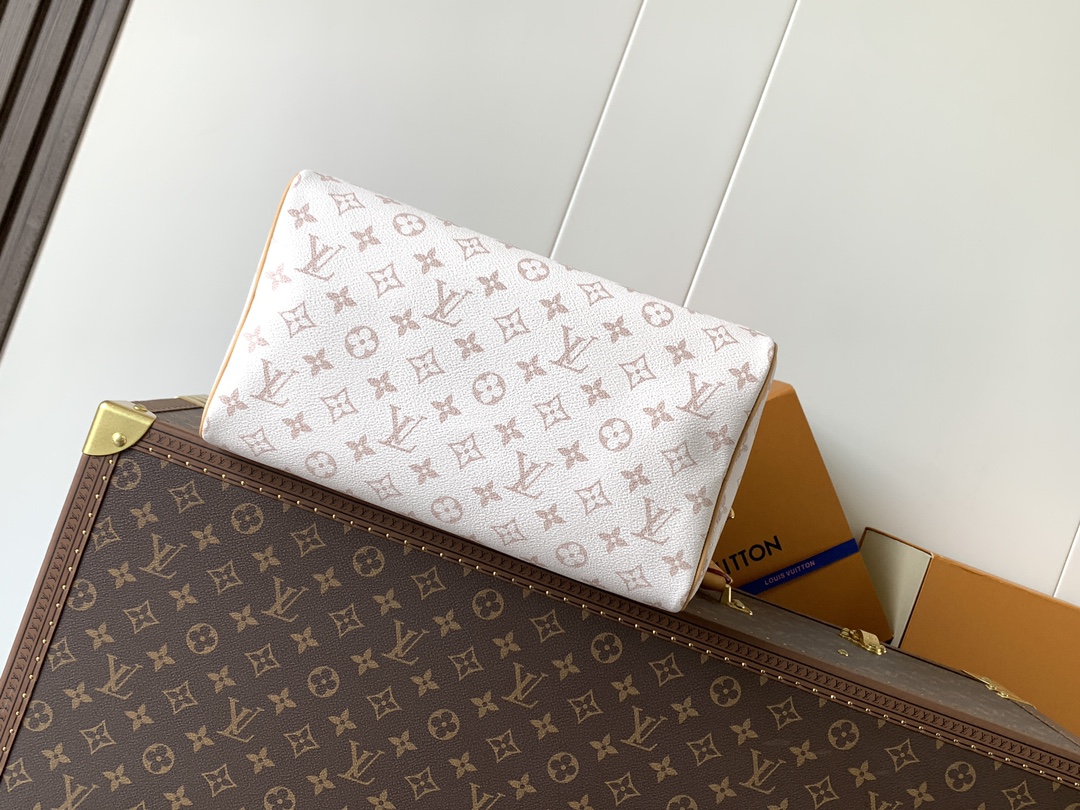 Louis Vuitton Basic Bag Cow Leather M-l-s