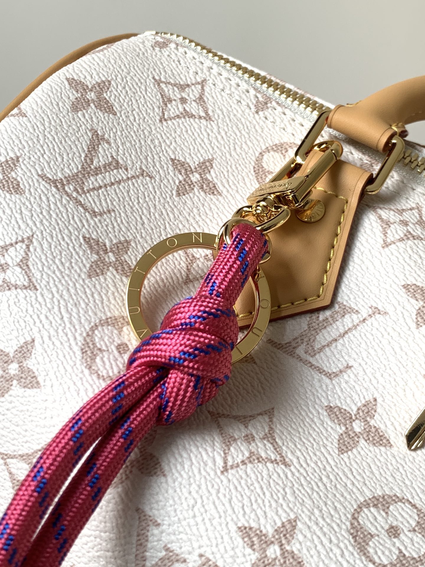 Louis Vuitton Basic Bag Cow Leather M-l-s