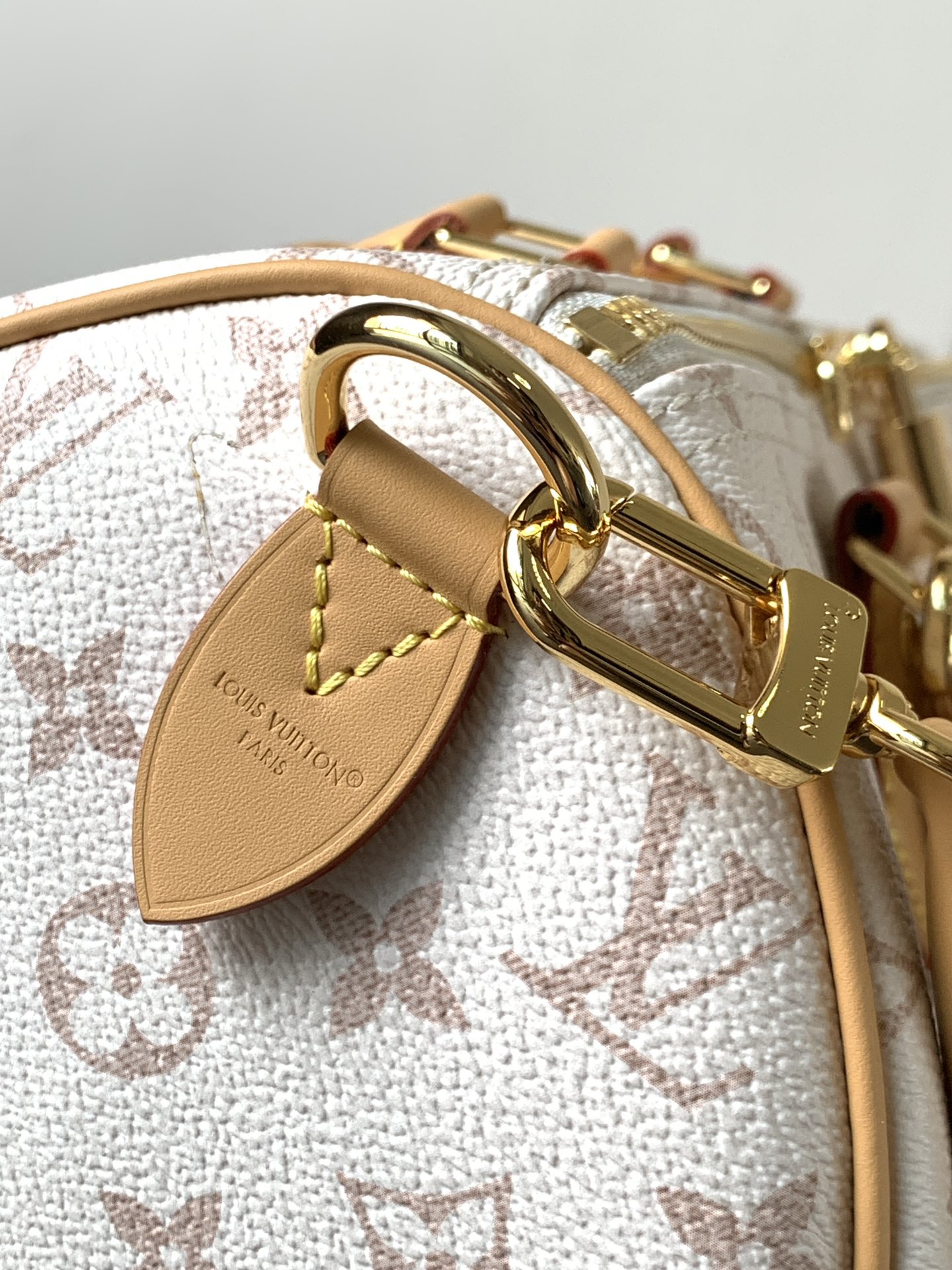 Louis Vuitton Basic Bag Cow Leather M-l-s