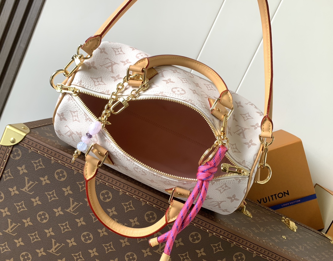 Louis Vuitton Basic Bag Cow Leather M-l-s