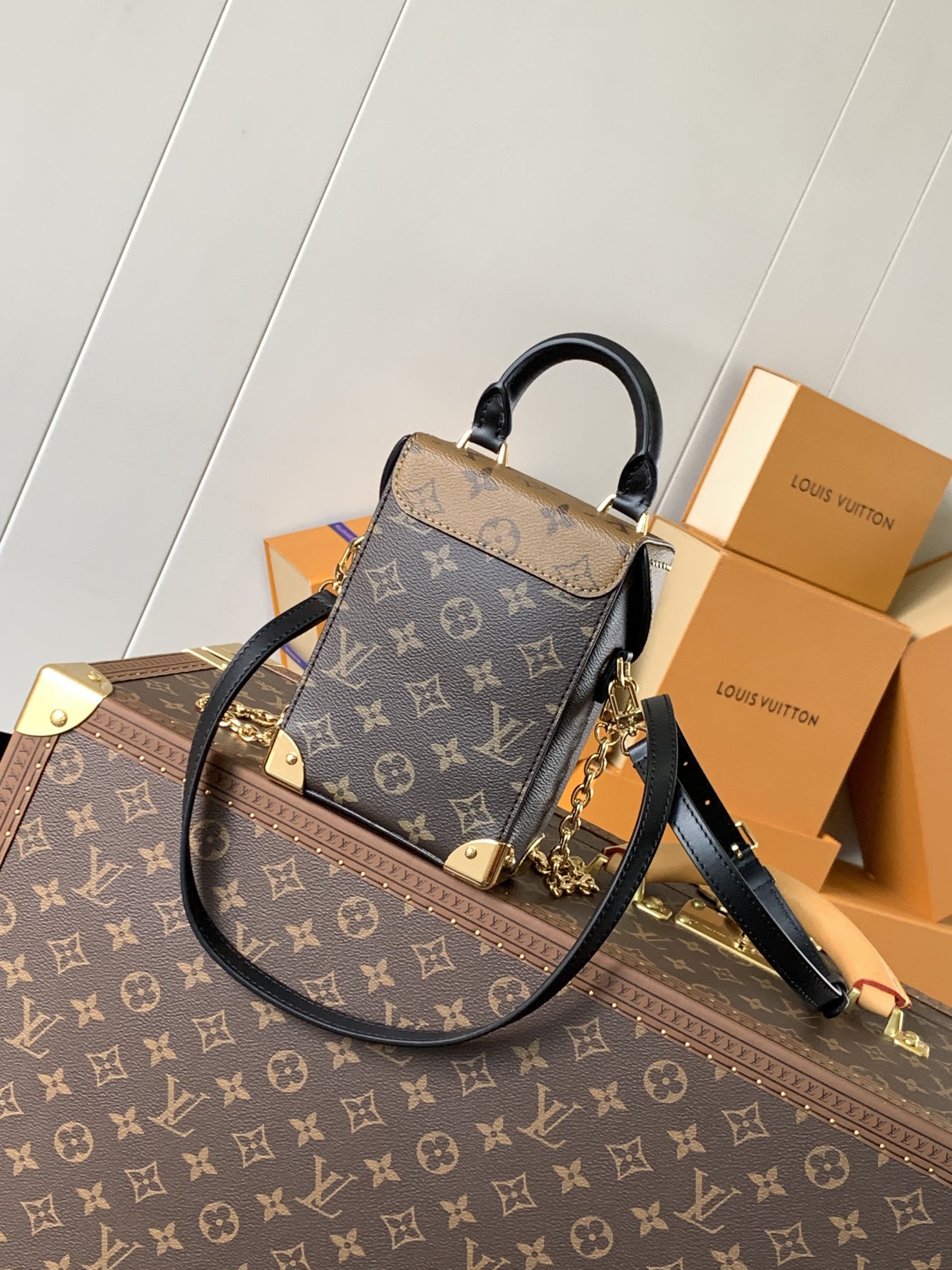 Louis Vuitton Basic Bag Cow Leather M-l-s