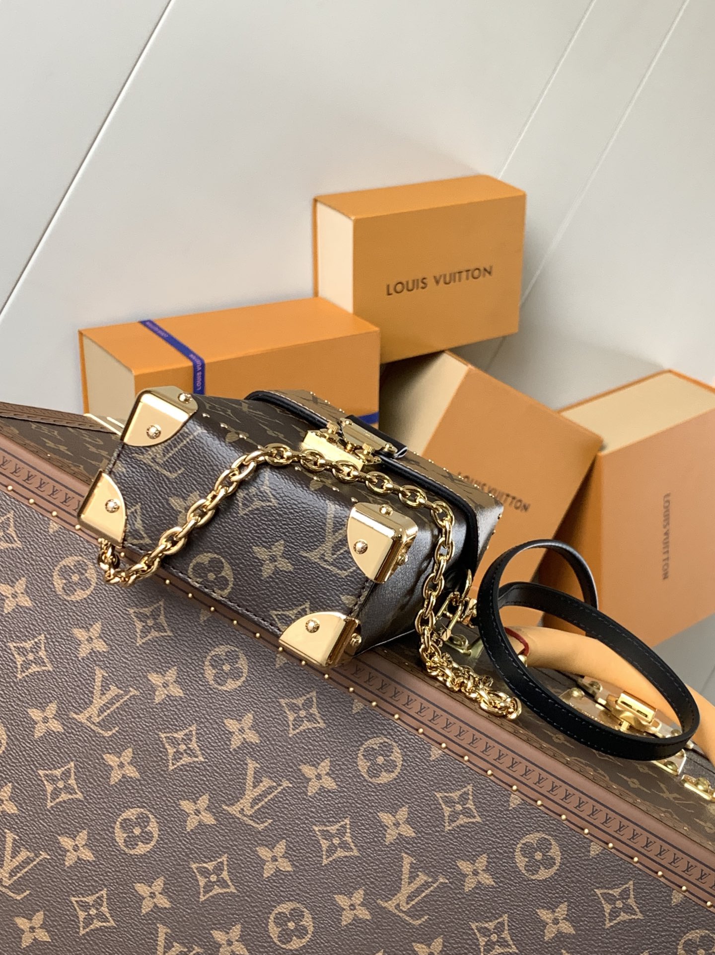 Louis Vuitton Basic Bag Cow Leather M-l-s