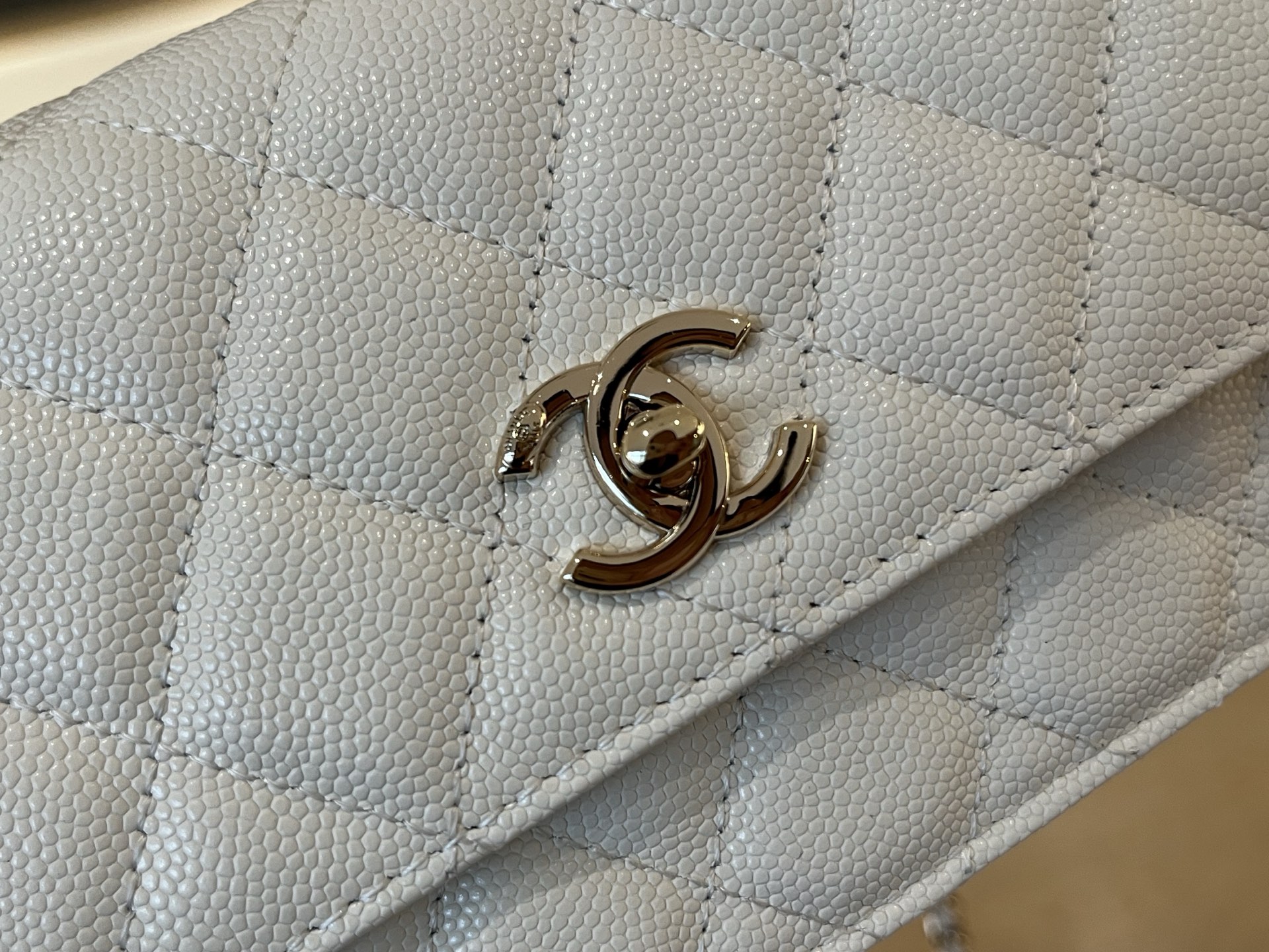 Chanel Basic Bag Cow Leather 19cm-l-s