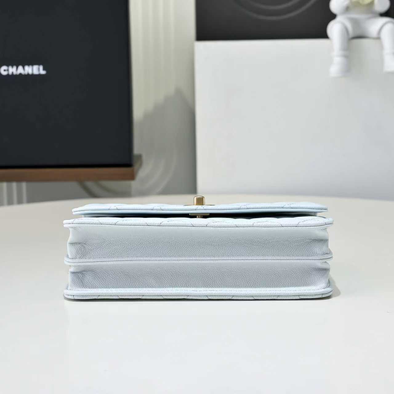 Chanel Basic Bag Cow Leather M-l