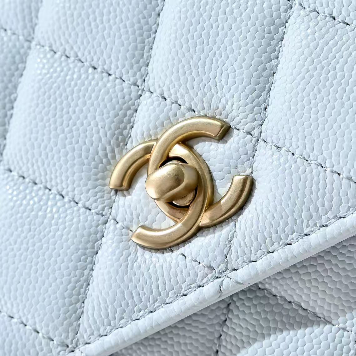 Chanel Basic Bag Cow Leather M-l