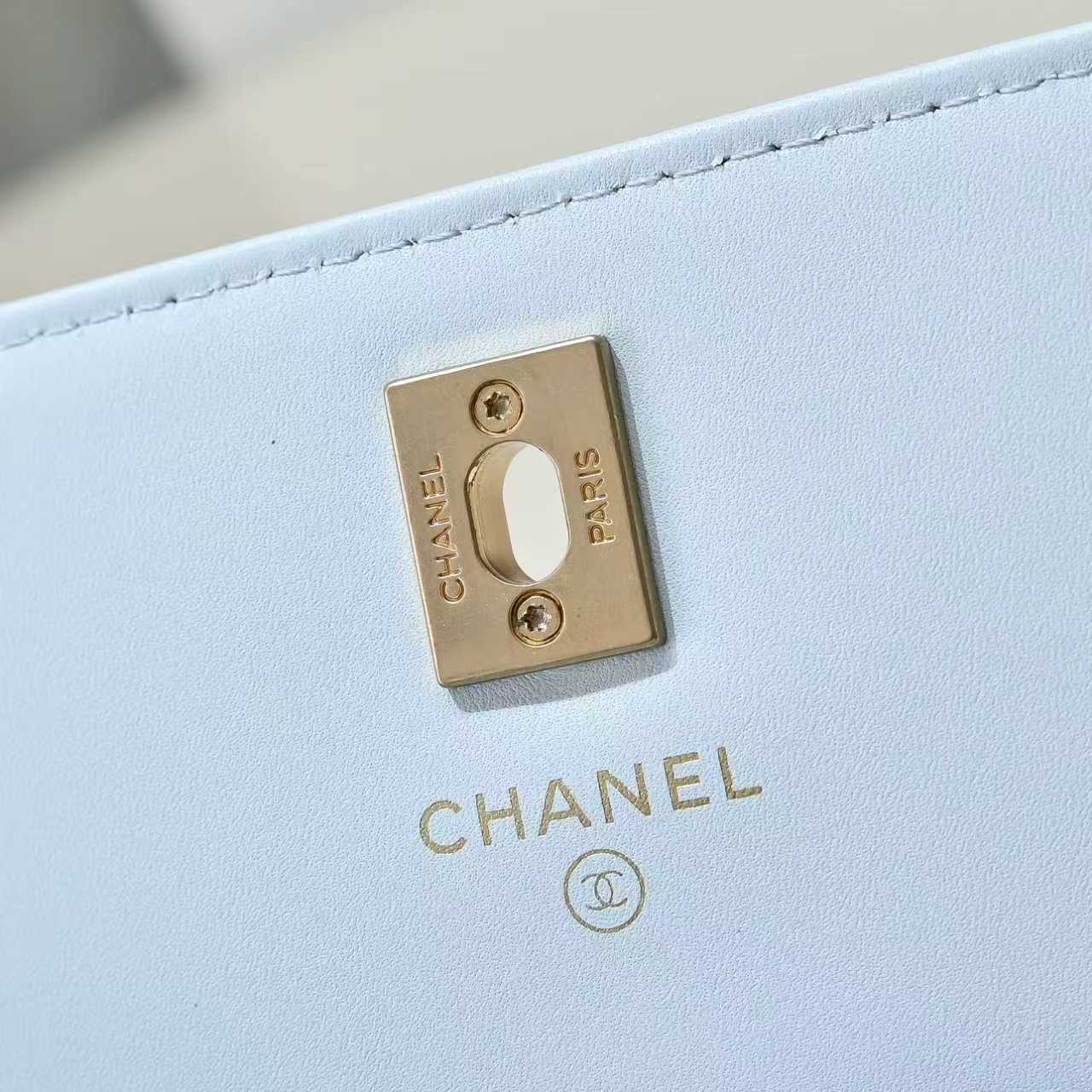 Chanel Basic Bag Cow Leather M-l