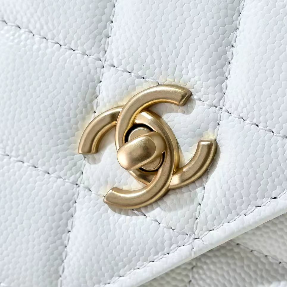 Chanel Basic Bag Cow Leather M-l