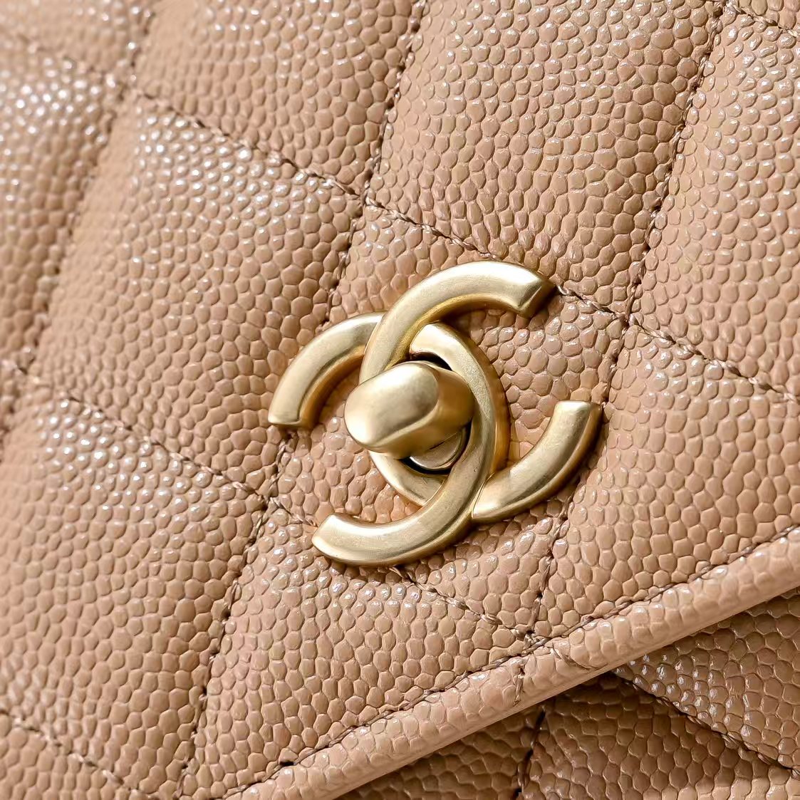 Chanel Basic Bag Cow Leather M-l