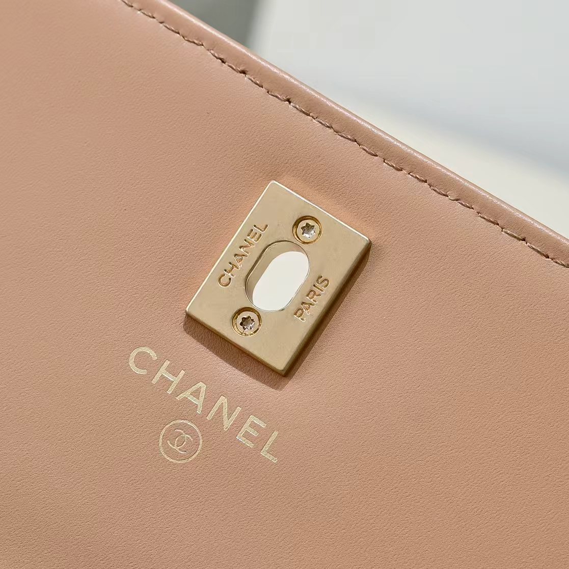 Chanel Basic Bag Cow Leather M-l