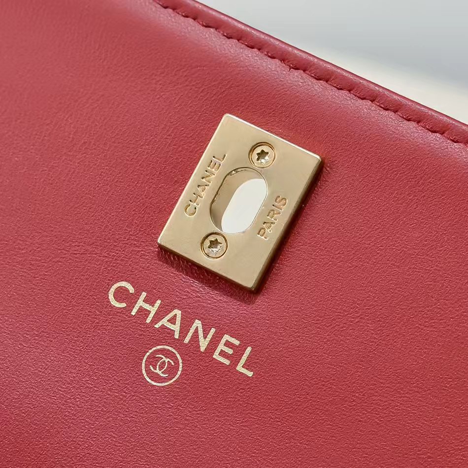 Chanel Basic Bag Cow Leather M-l