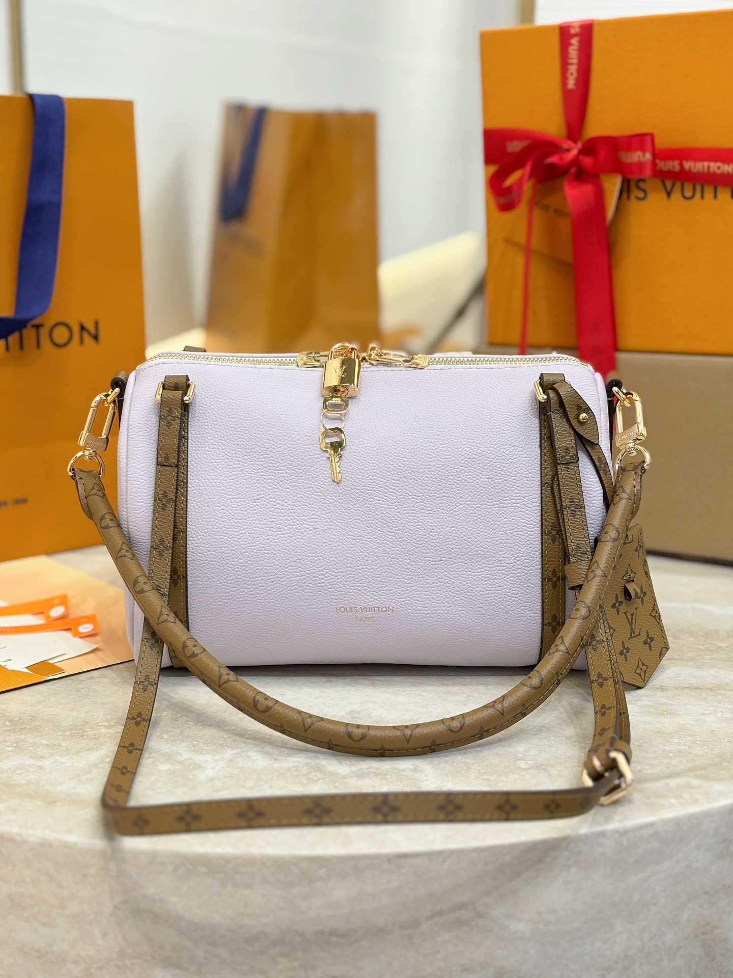 Louis Vuitton Basic Bag Cow Leather M-s