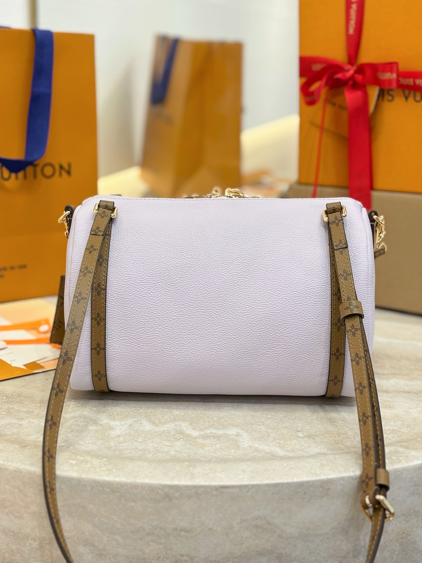 Louis Vuitton Basic Bag Cow Leather M-s