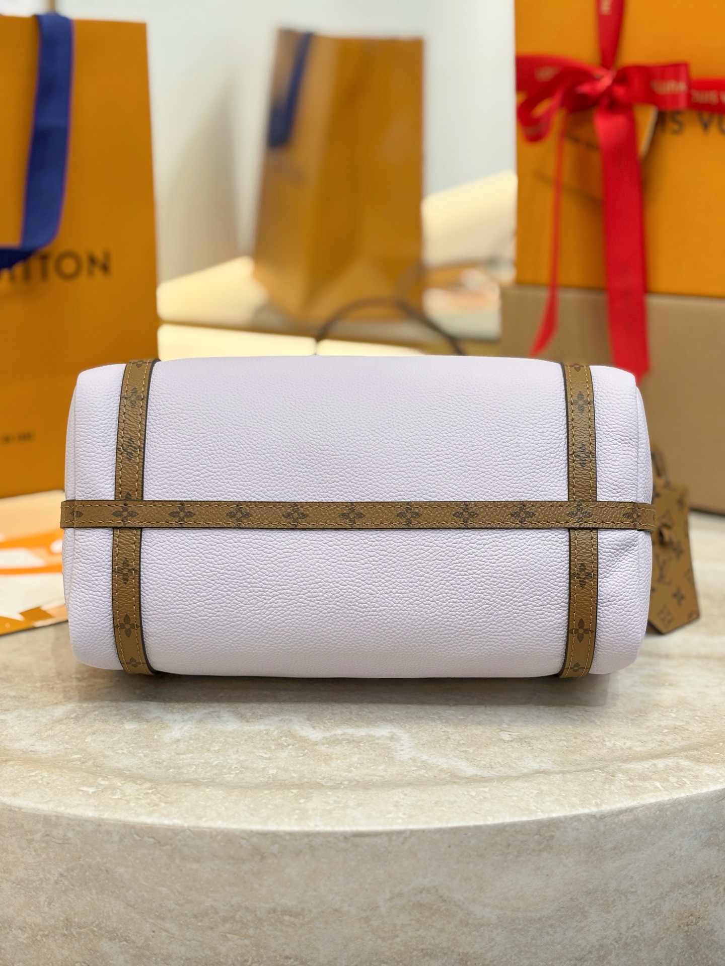 Louis Vuitton Basic Bag Cow Leather M-s