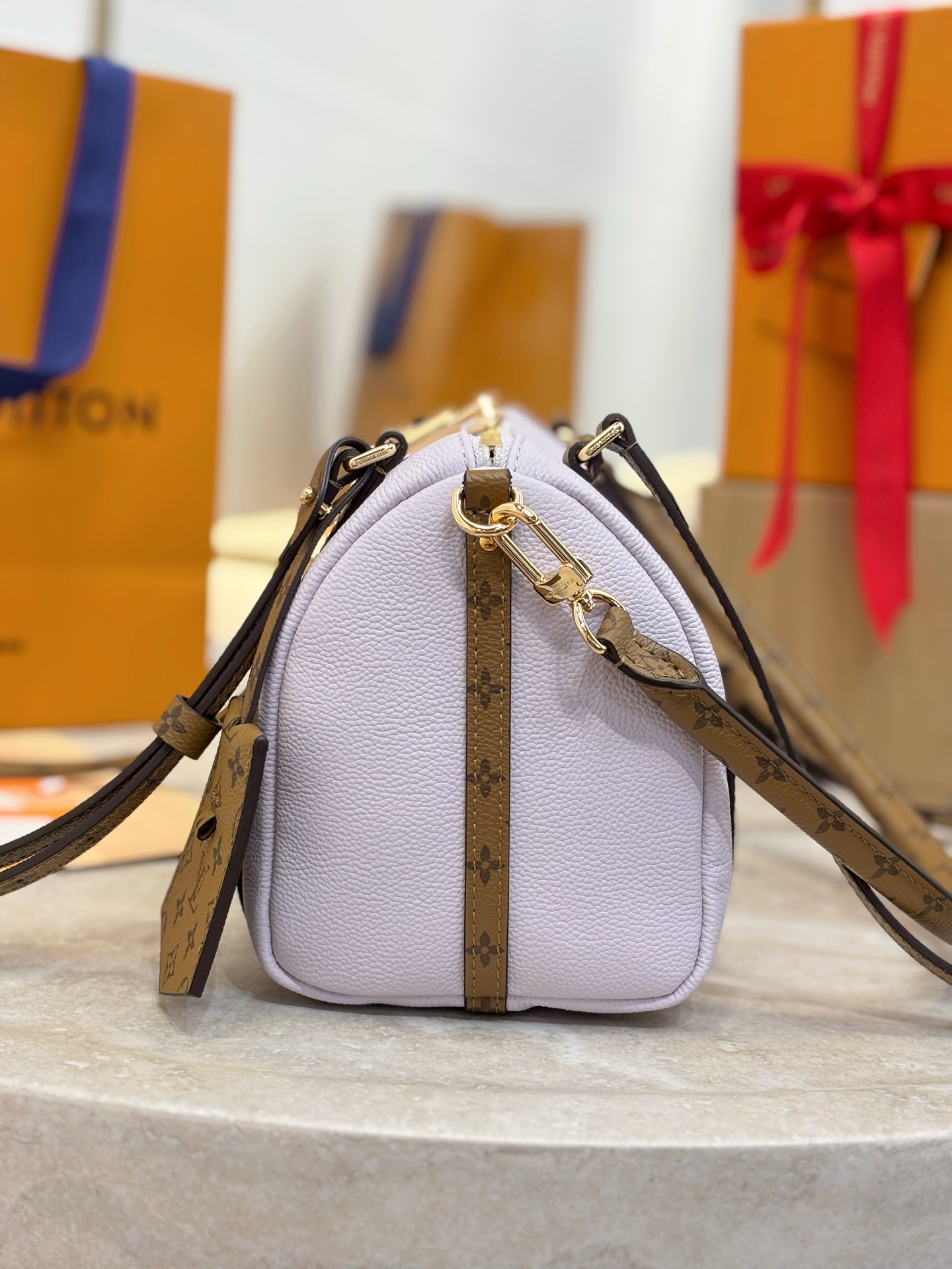 Louis Vuitton Basic Bag Cow Leather M-s