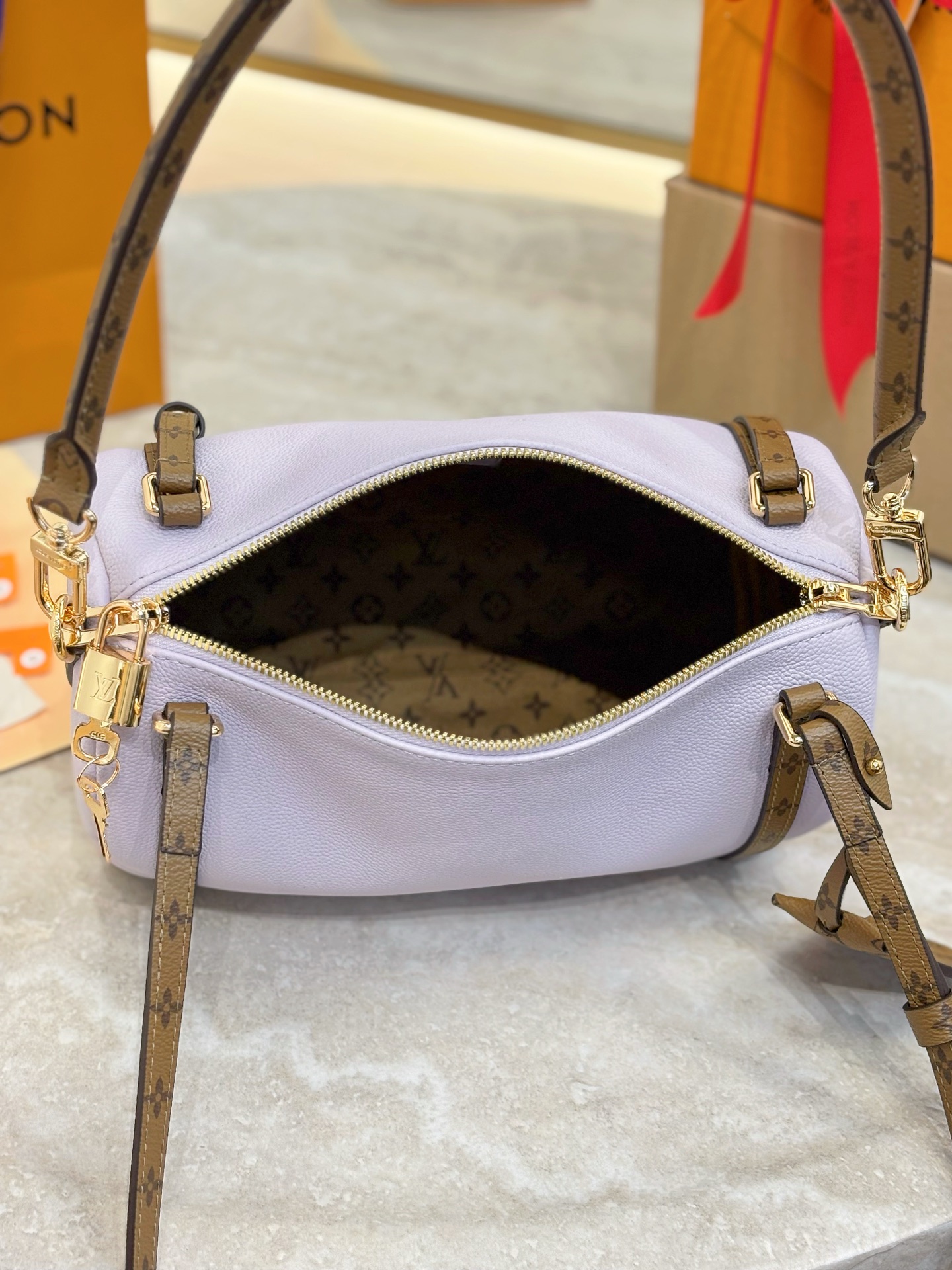 Louis Vuitton Basic Bag Cow Leather M-s