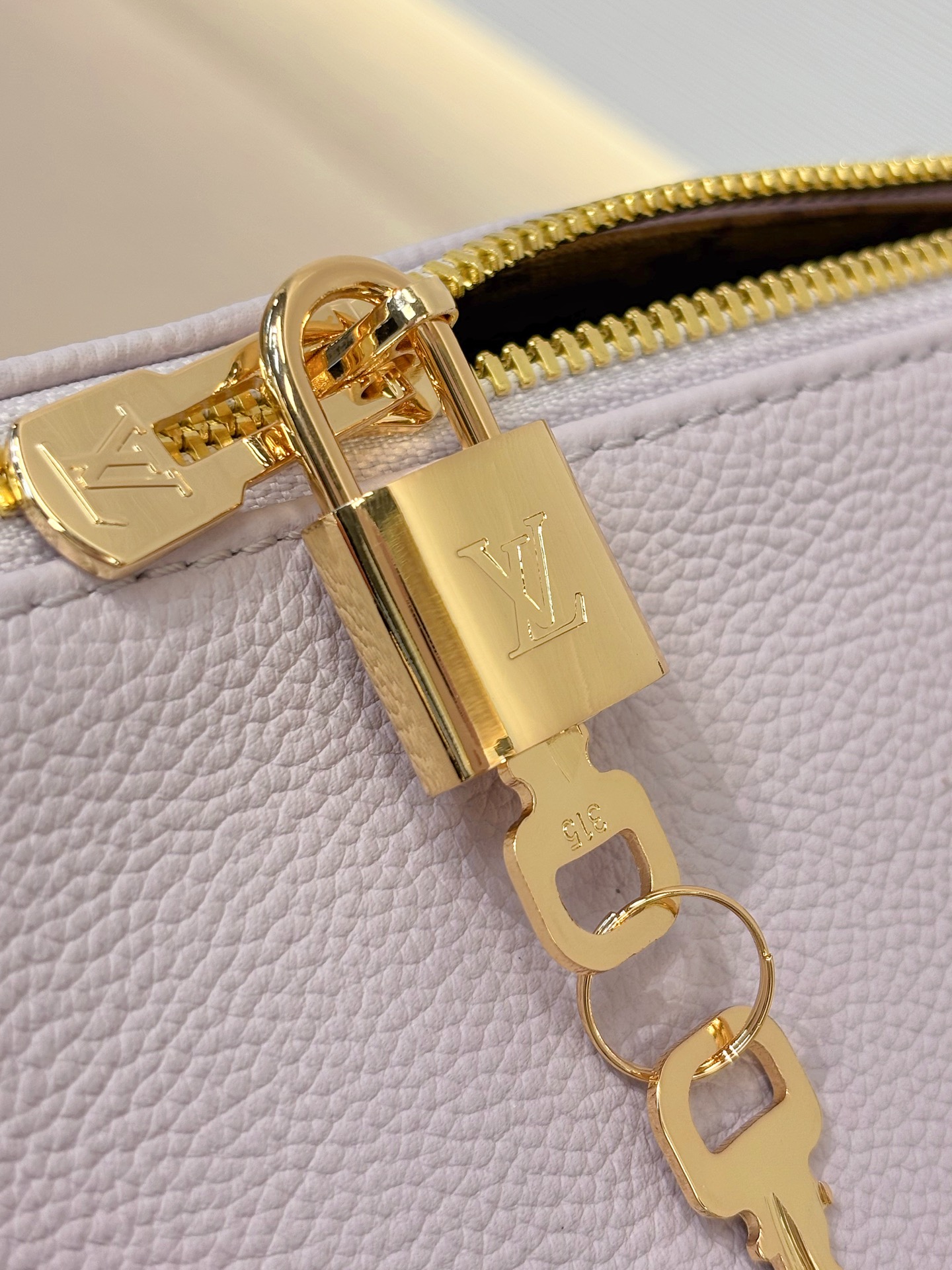 Louis Vuitton Basic Bag Cow Leather M-s