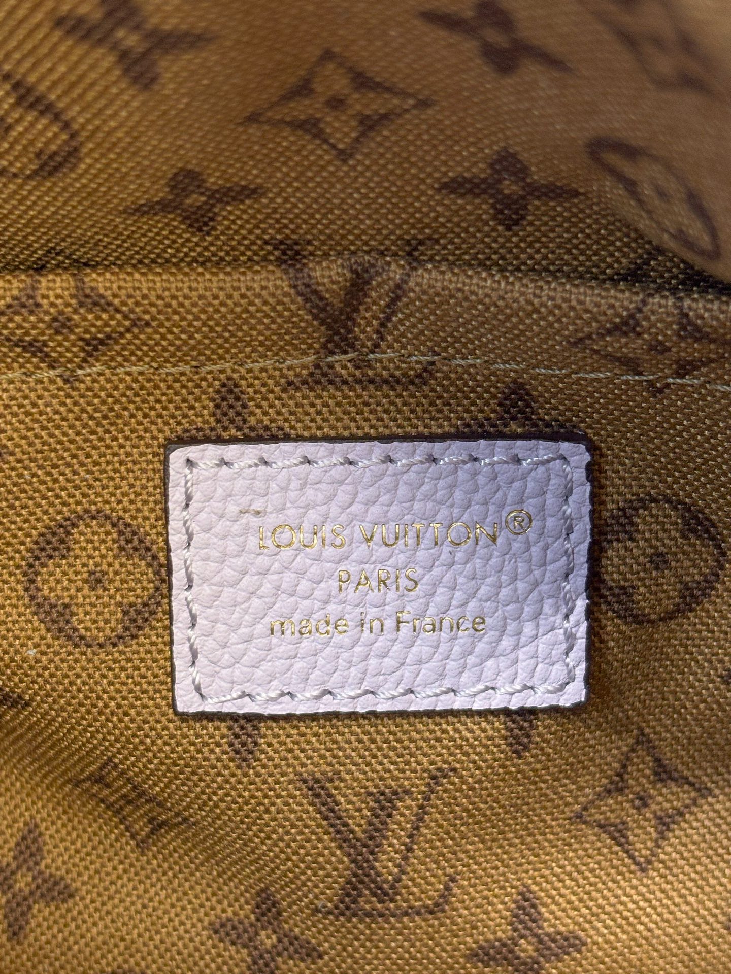 Louis Vuitton Basic Bag Cow Leather M-s